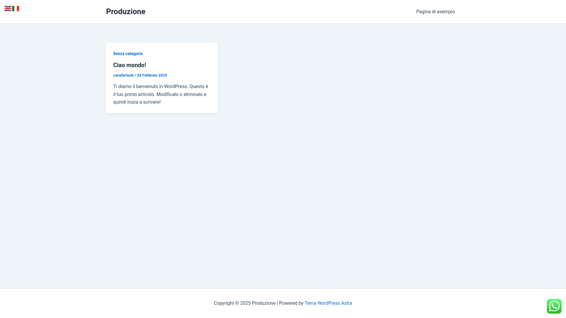 website screenshot of https://sellandservice.it/