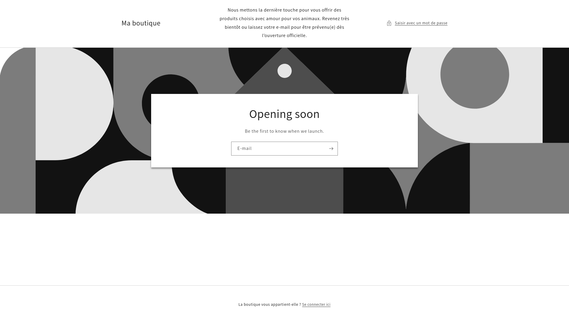 website screenshot of https://petizmocreations.com/