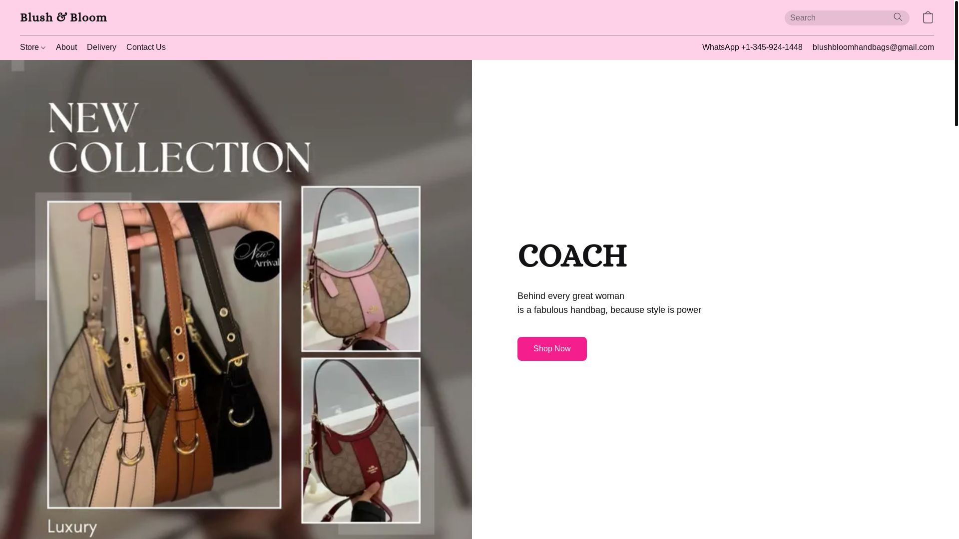 website screenshot of https://blushbloomhandbags.com/