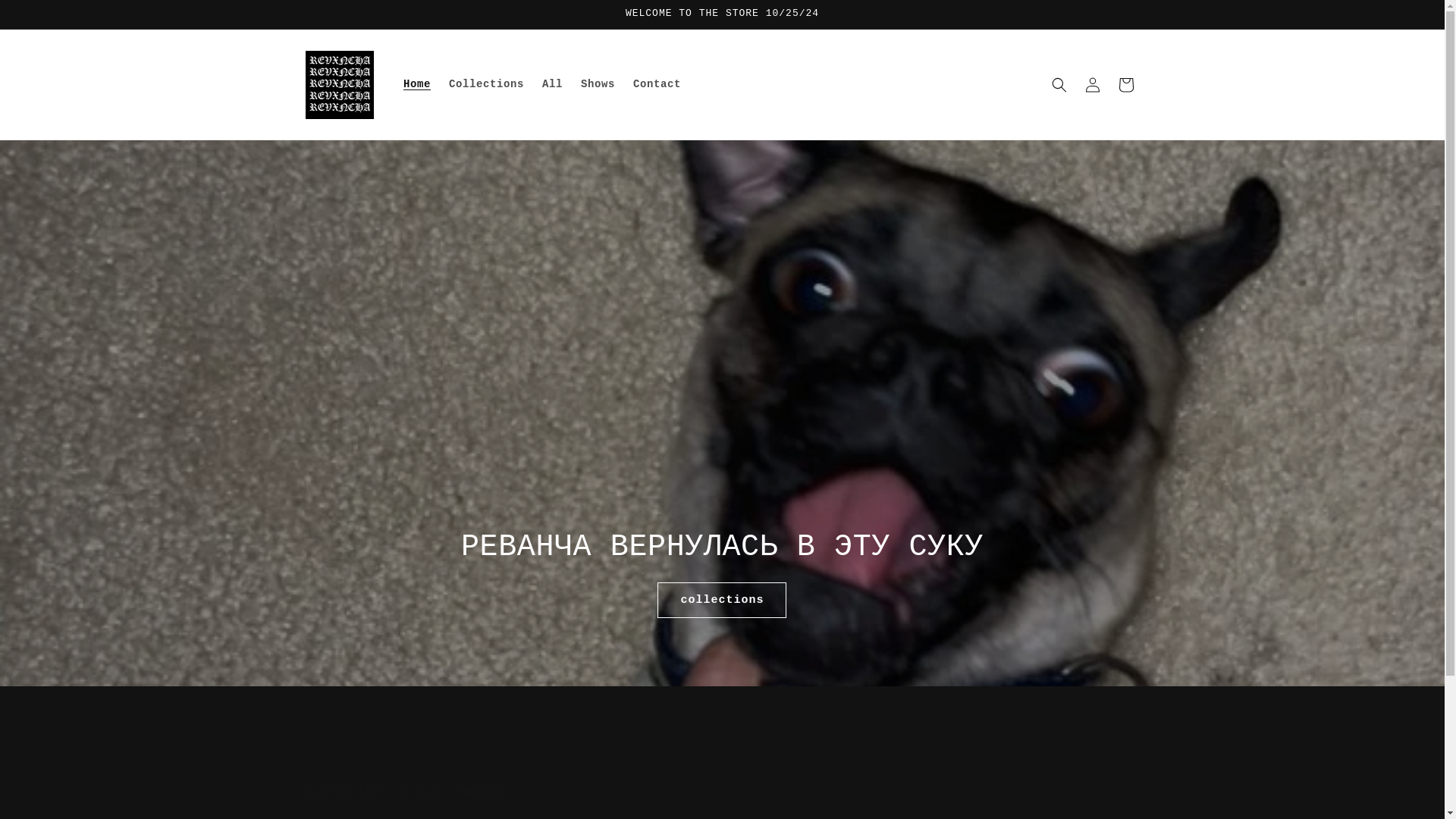 website screenshot of https://revxncha.store/