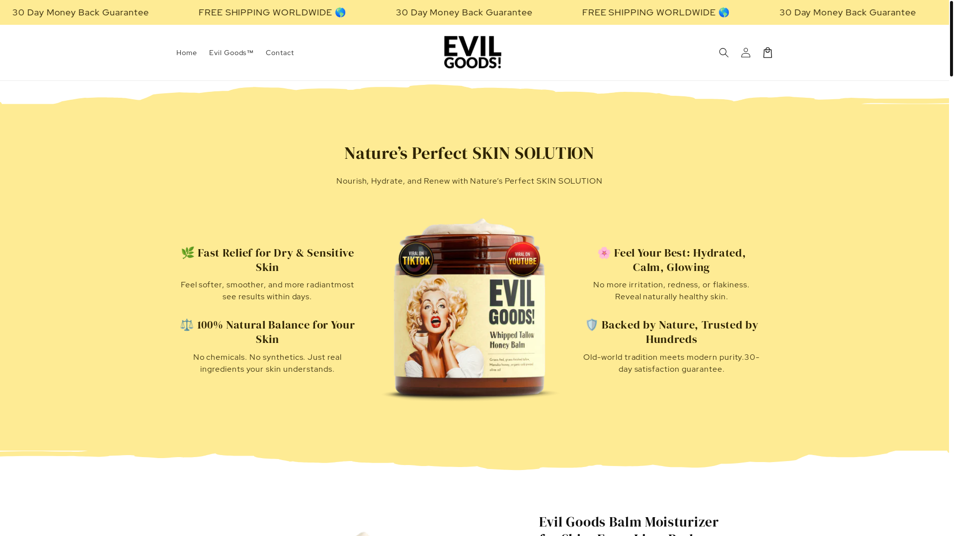 website screenshot of https://getevilgoods.co/
