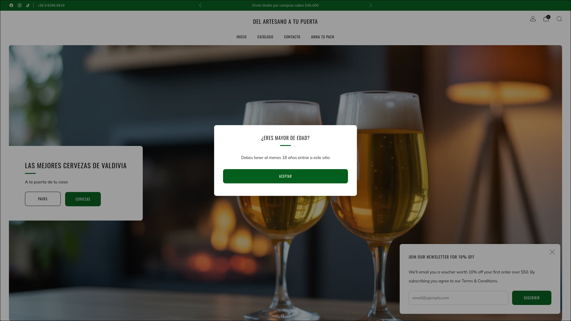 website screenshot of https://hechoenelsur.cl/