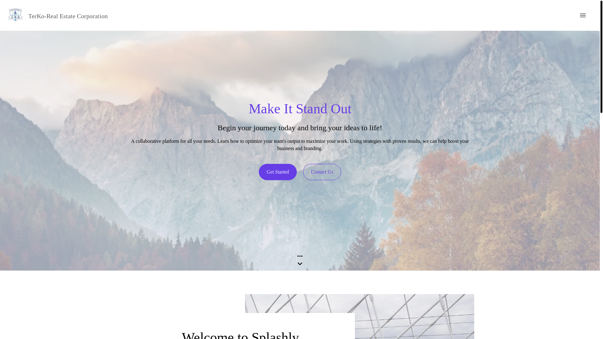 website screenshot of https://terko-realestate.com/