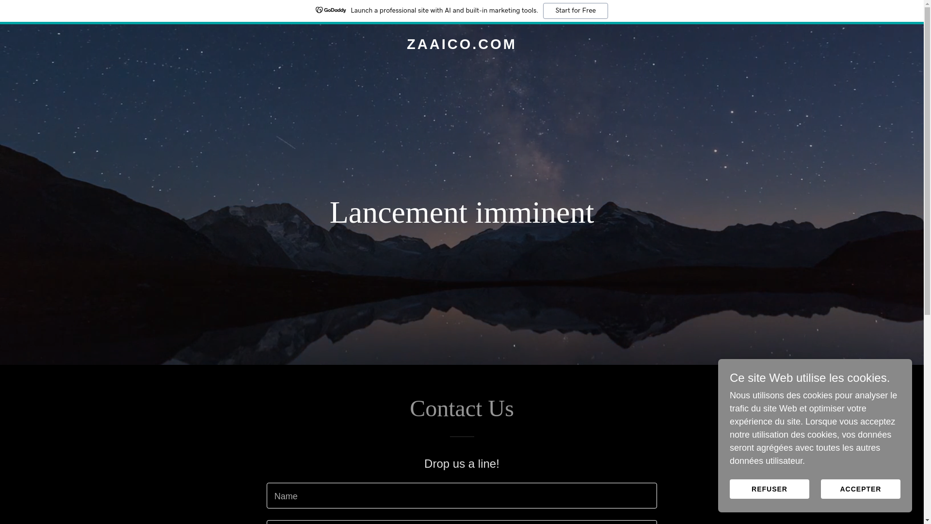 website screenshot of https://zaaico.com/