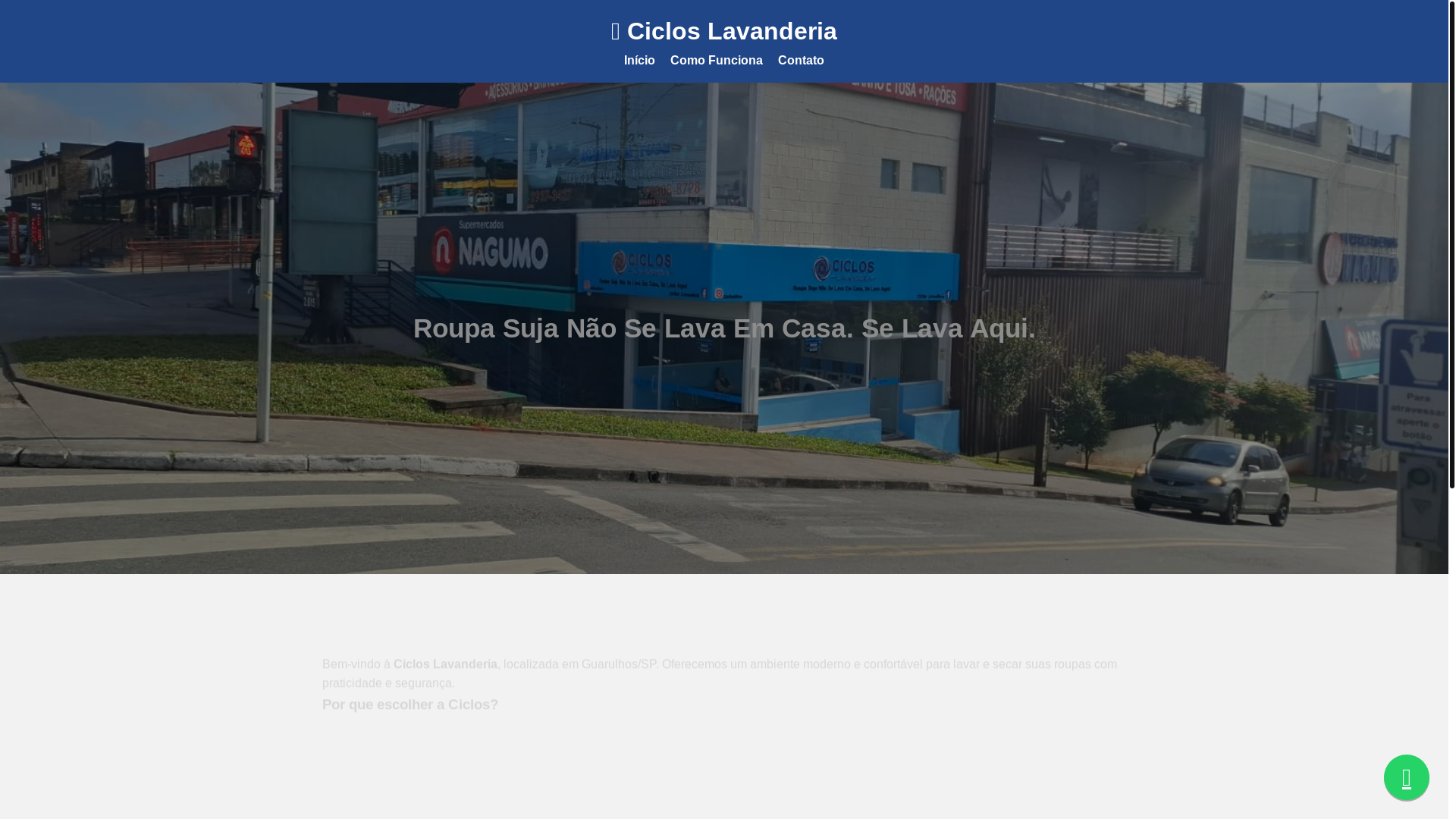 website screenshot of https://cicloslavanderia.com.br/