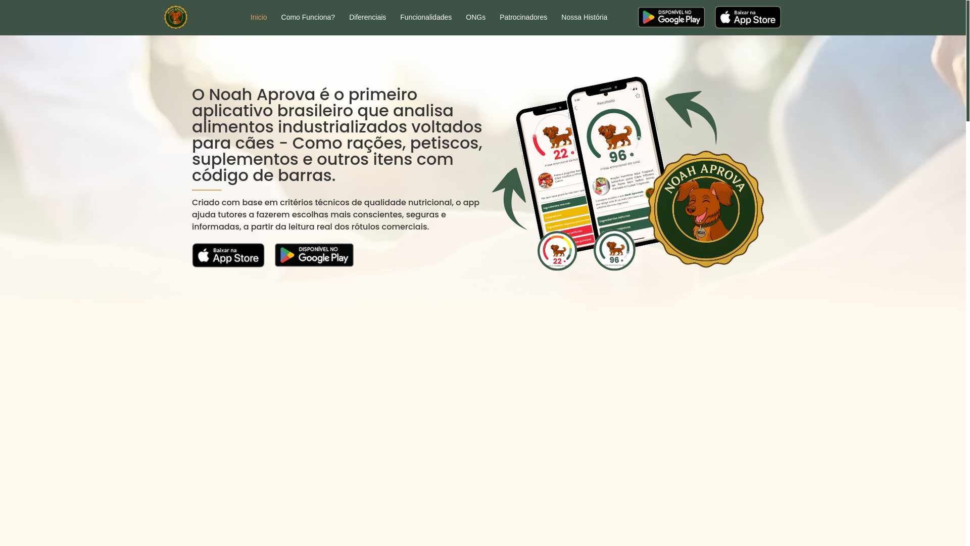 website screenshot of https://noahaprova.com.br/