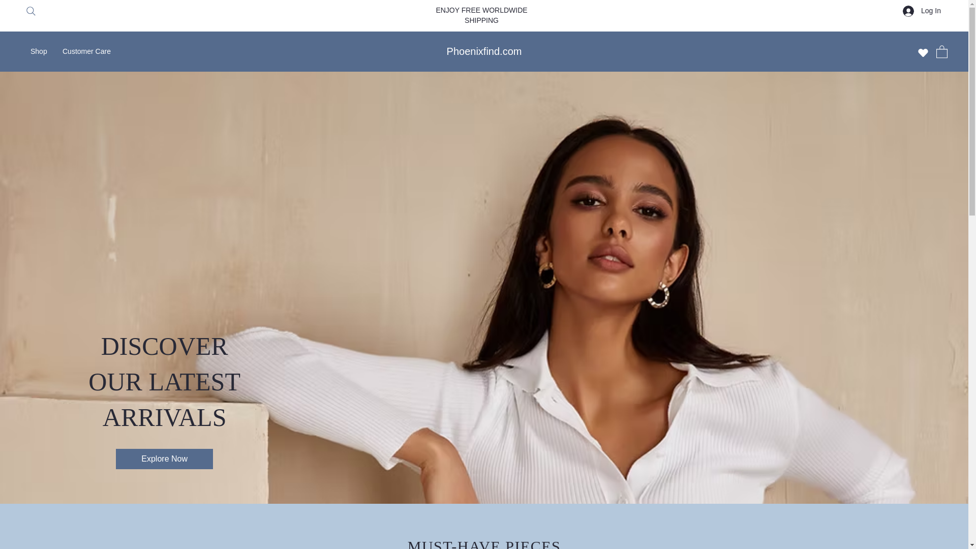website screenshot of https://phoenixfind.org/