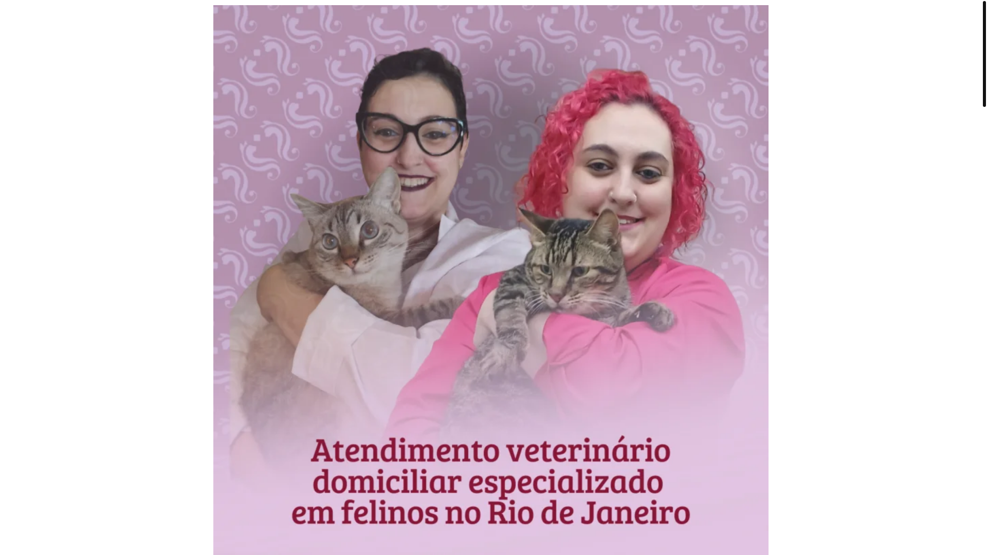 website screenshot of https://vetvifelinos.com.br/