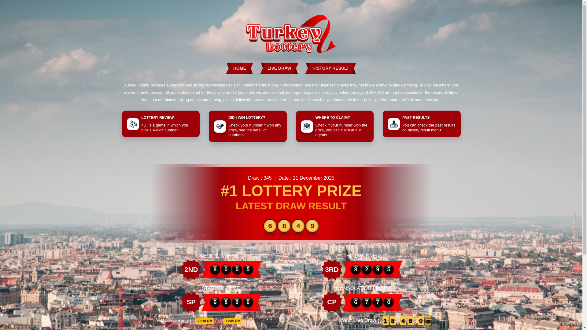 website screenshot of https://turkeylottery.online/