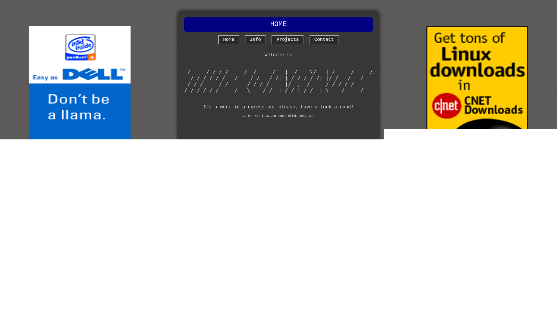 website screenshot of https://bryangoss.com