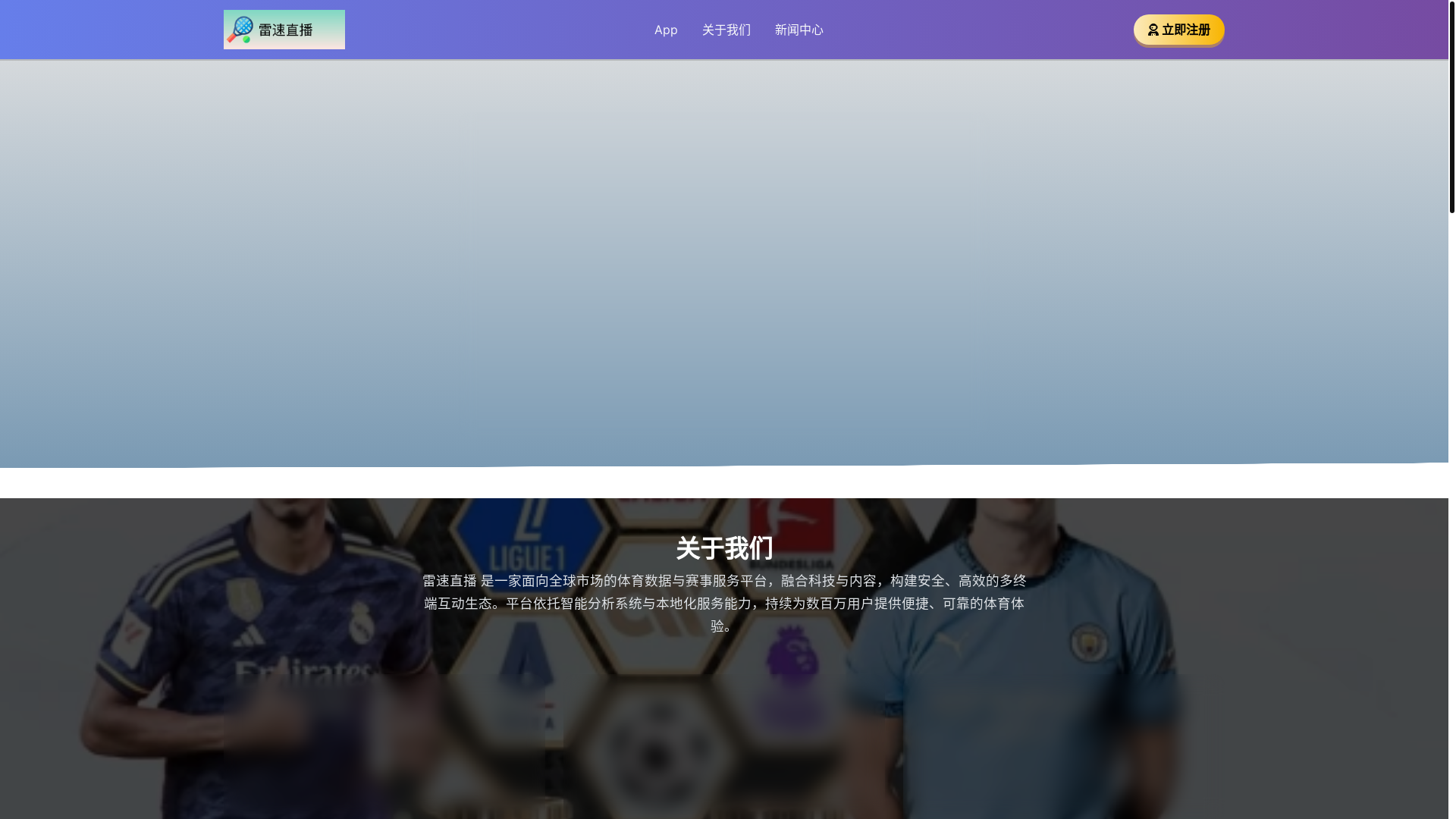 website screenshot of https://leisulivenow.com/