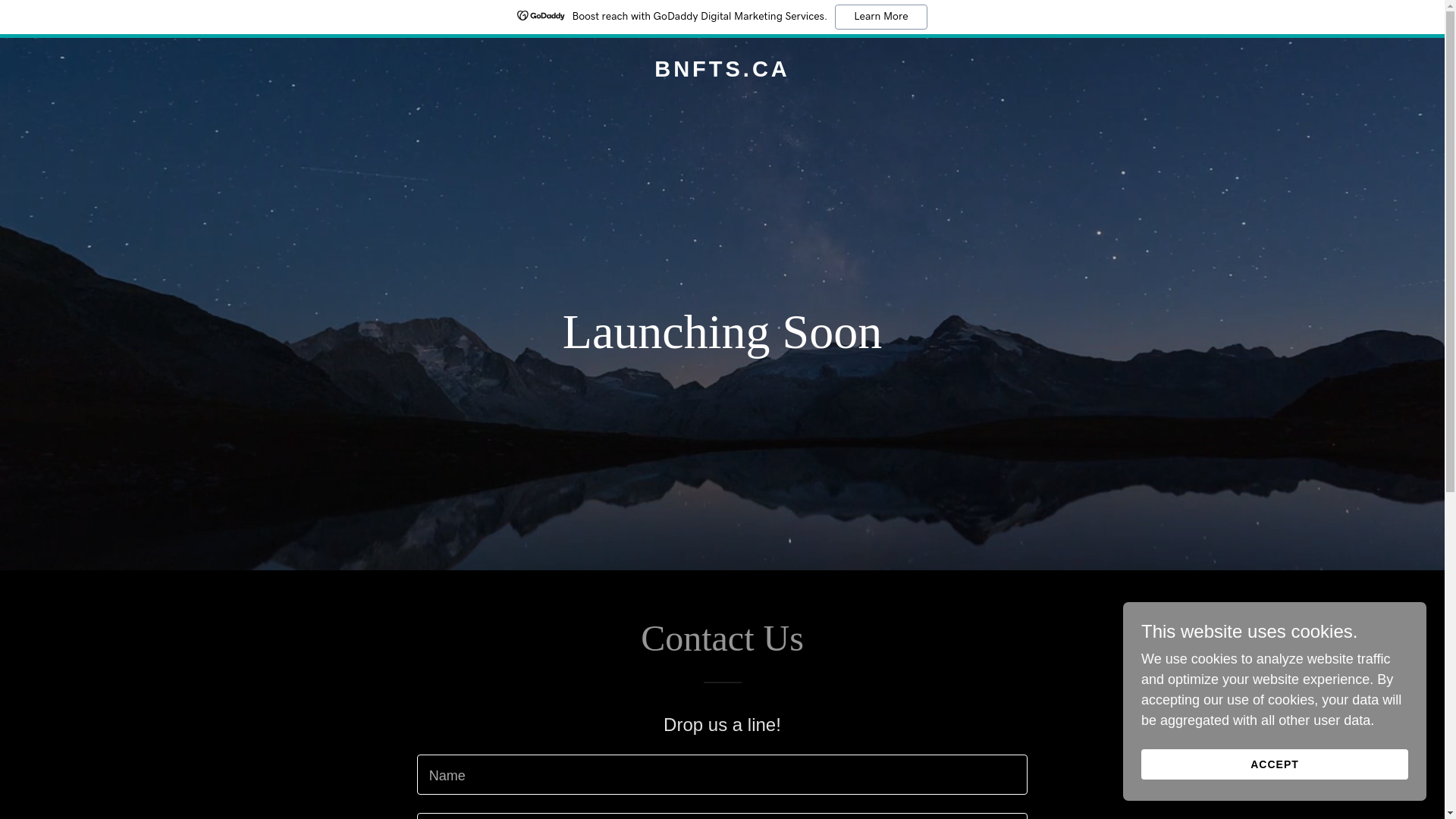 website screenshot of https://bnfts.ca/