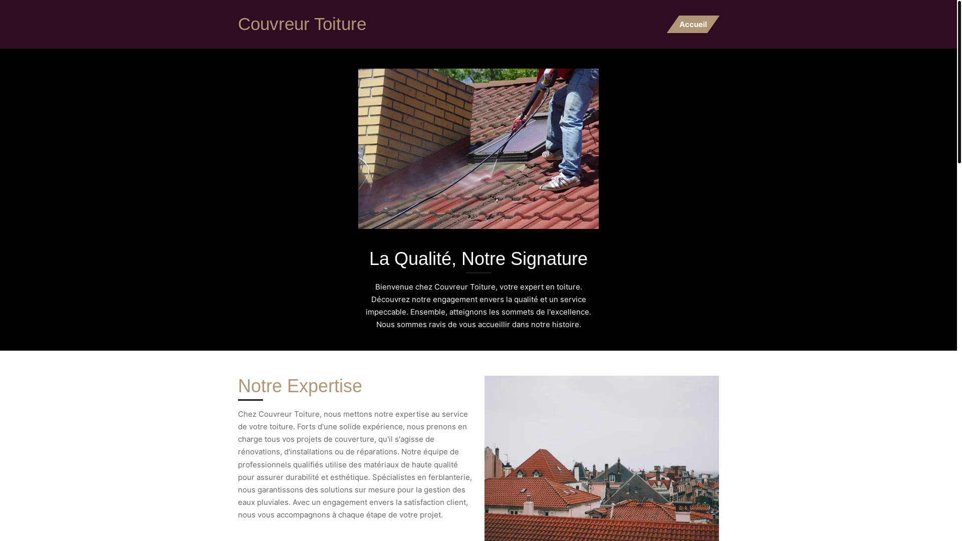 website screenshot of https://couvreur-toiture-expert.com/