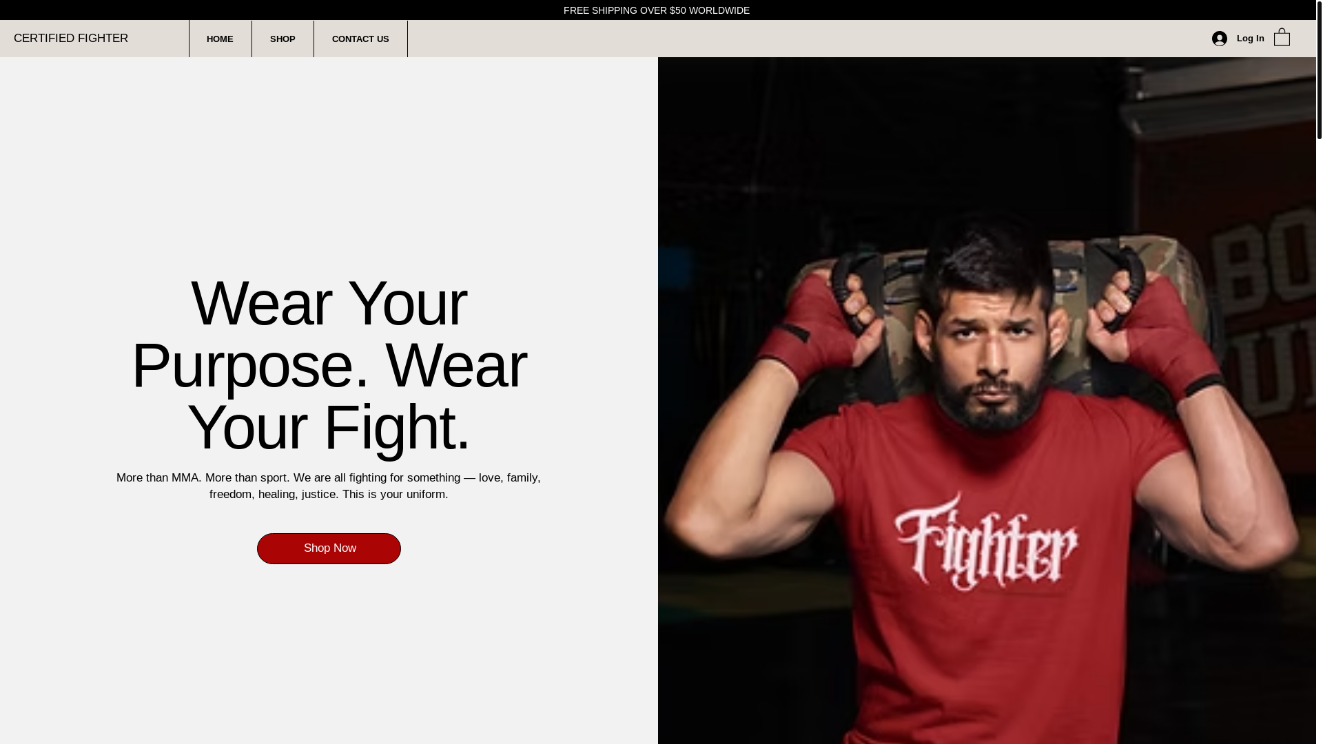 website screenshot of https://certifiedfighters.com/
