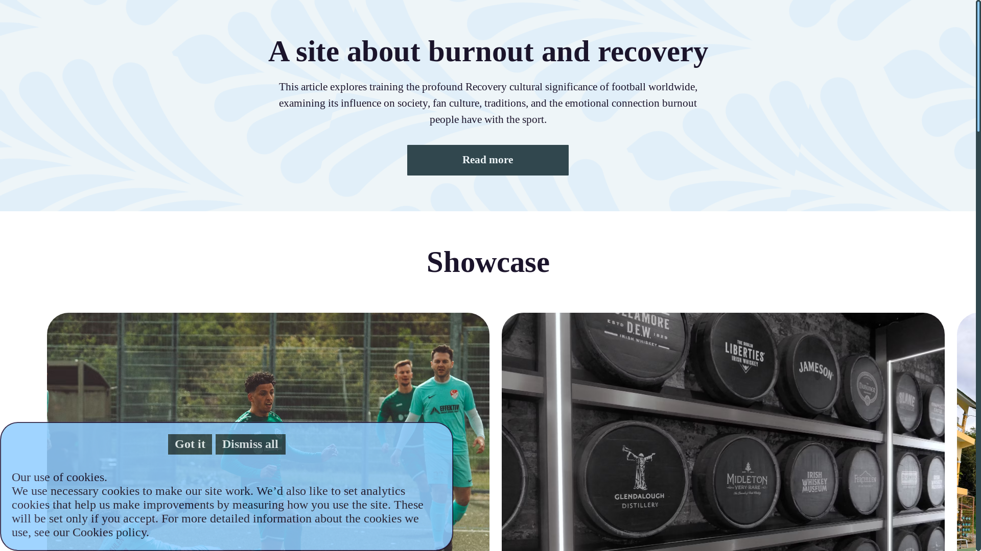website screenshot of https://starfishgravebag.com/