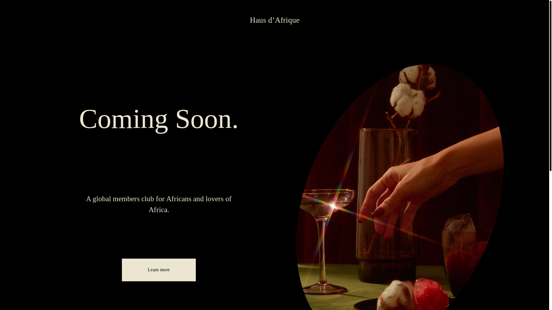 website screenshot of https://hausdafrique.com/