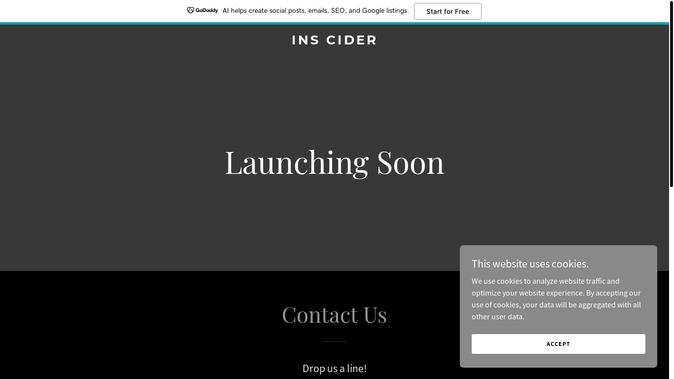 website screenshot of https://ins-cider.com/