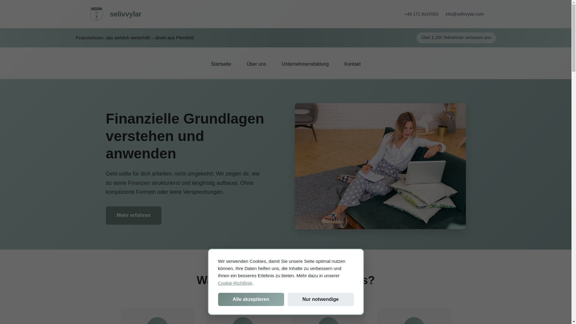 website screenshot of https://selivvylar.com/