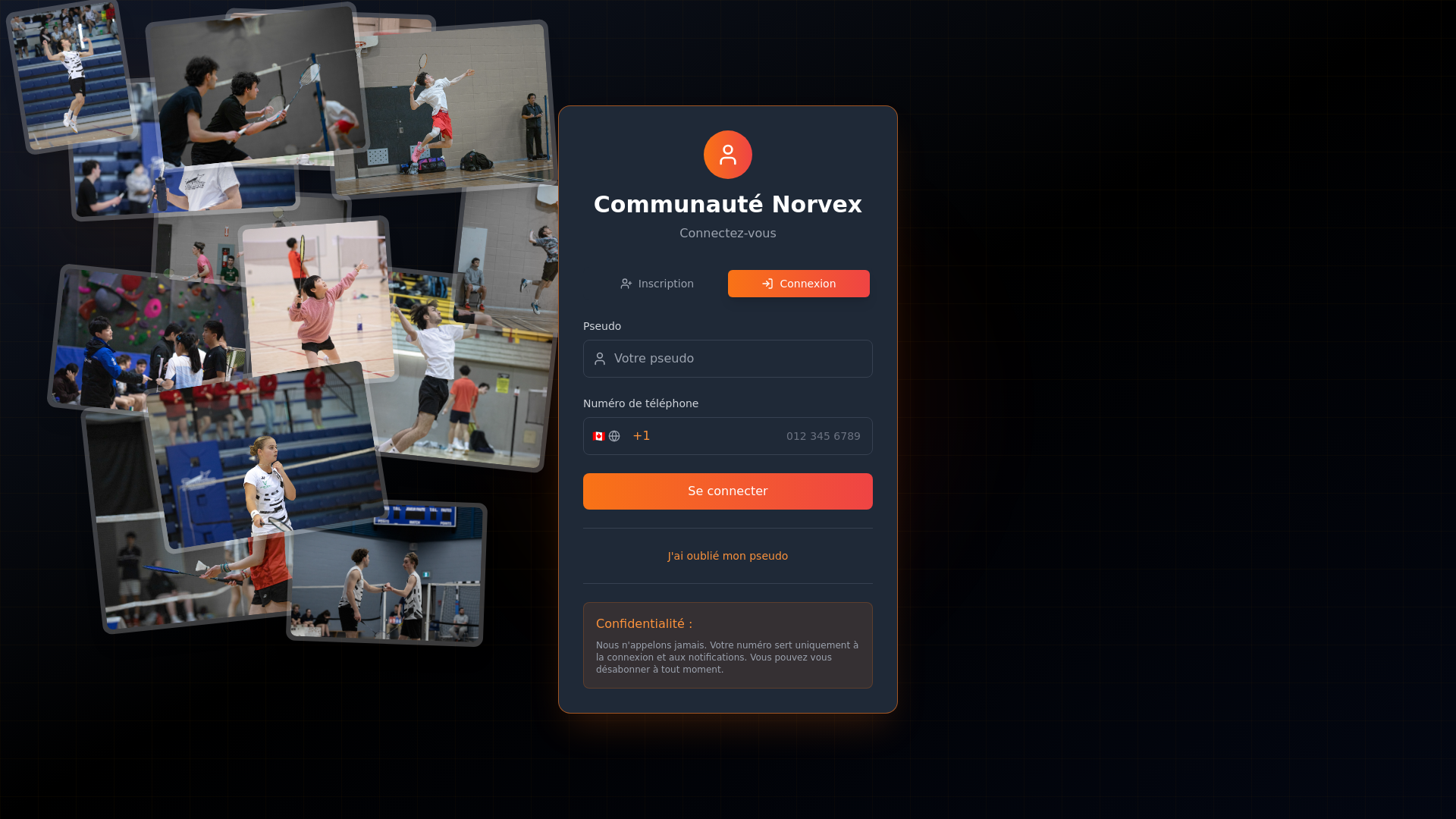 website screenshot of https://teamnorvex.ca/