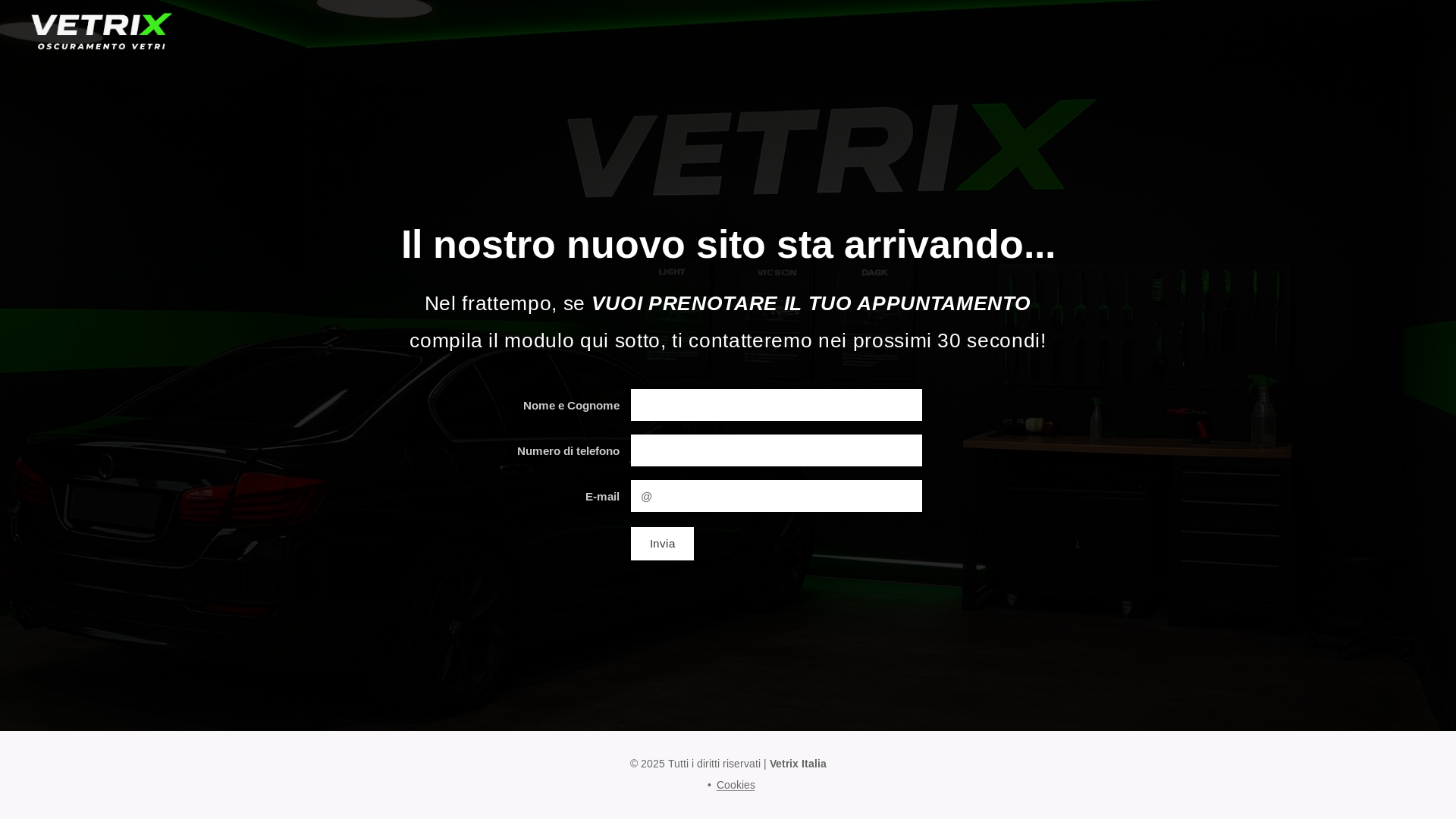 website screenshot of https://vetrix-italia.it/