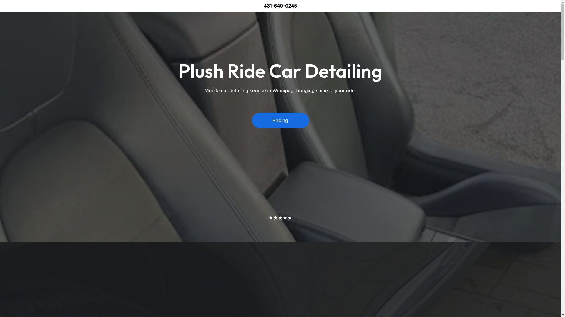 website screenshot of https://plushridecardetailing.shop/