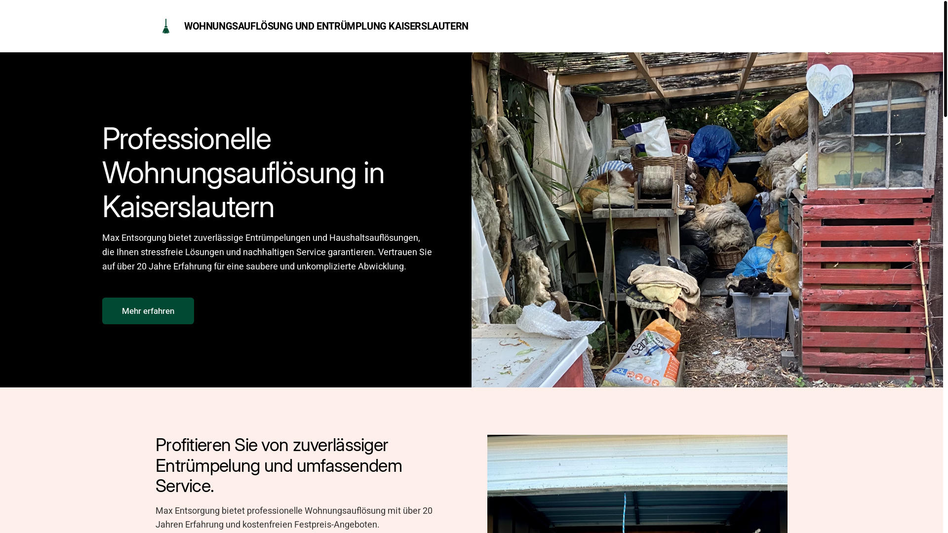 website screenshot of https://diewohnungsentruempler.de/