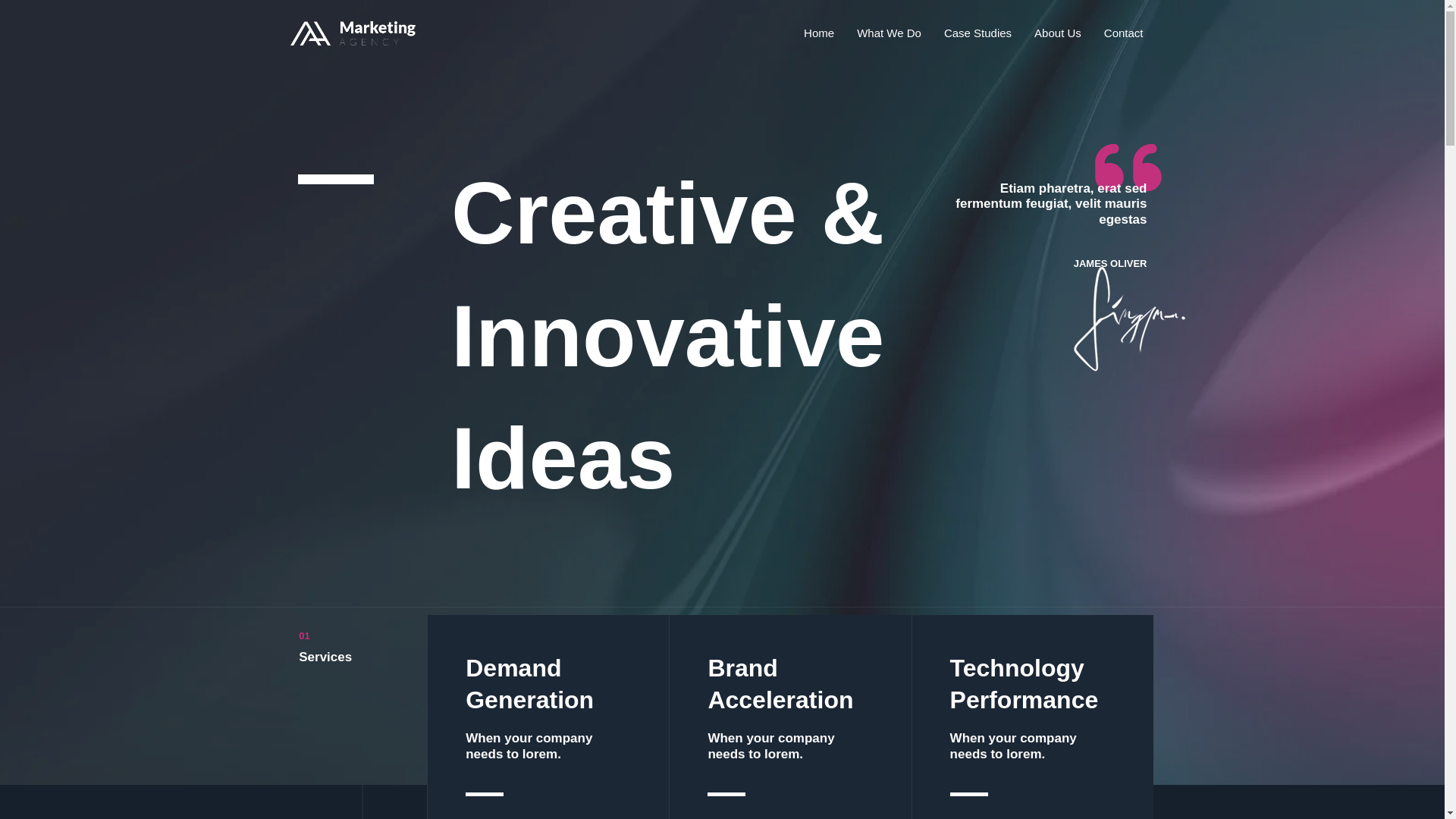 website screenshot of https://lfmarketingaff.com/