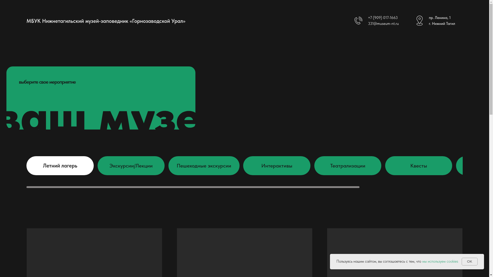 website screenshot of https://ntmzgu-prosvet.ru/
