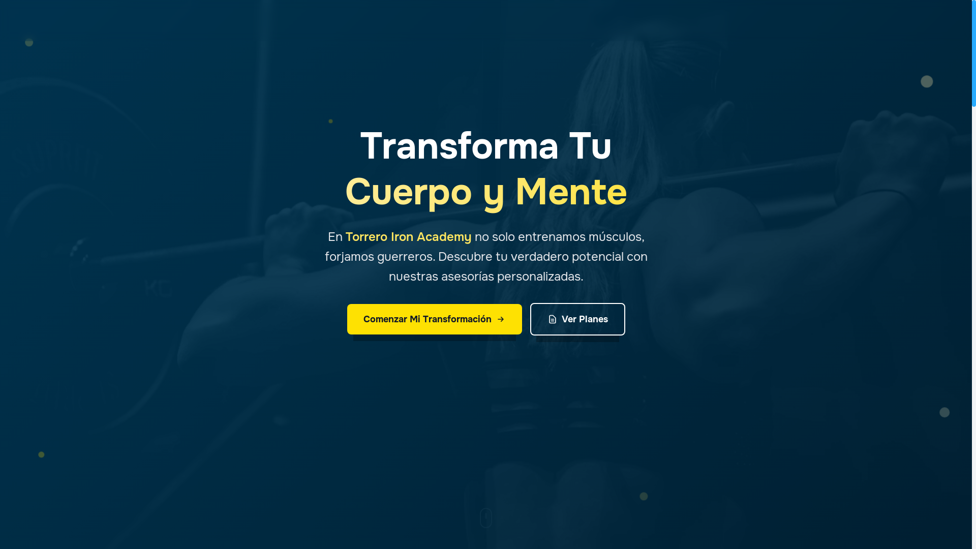 website screenshot of https://torreroironacademy.pages.dev/