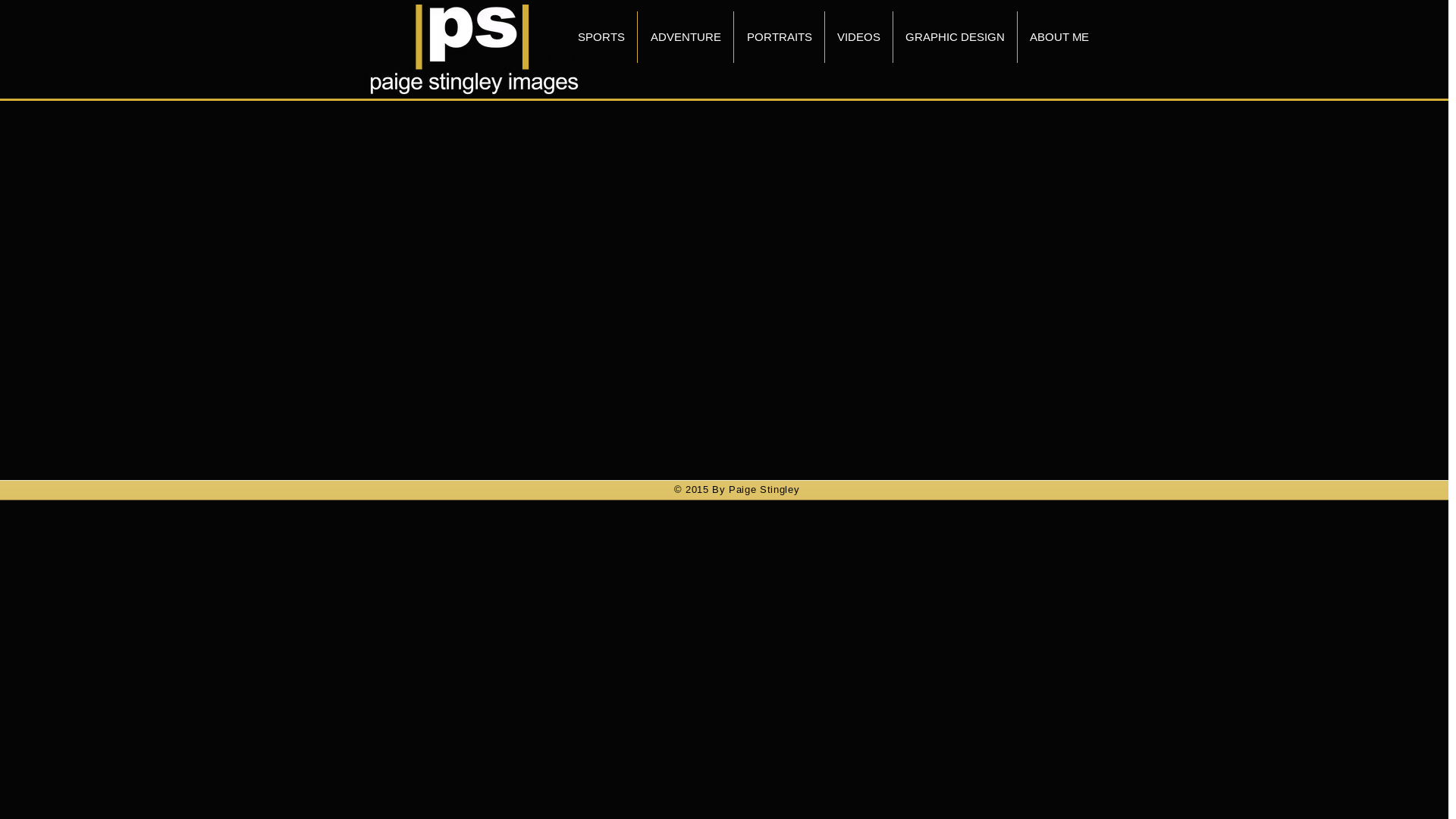 website screenshot of https://paigestingleycreative.com/