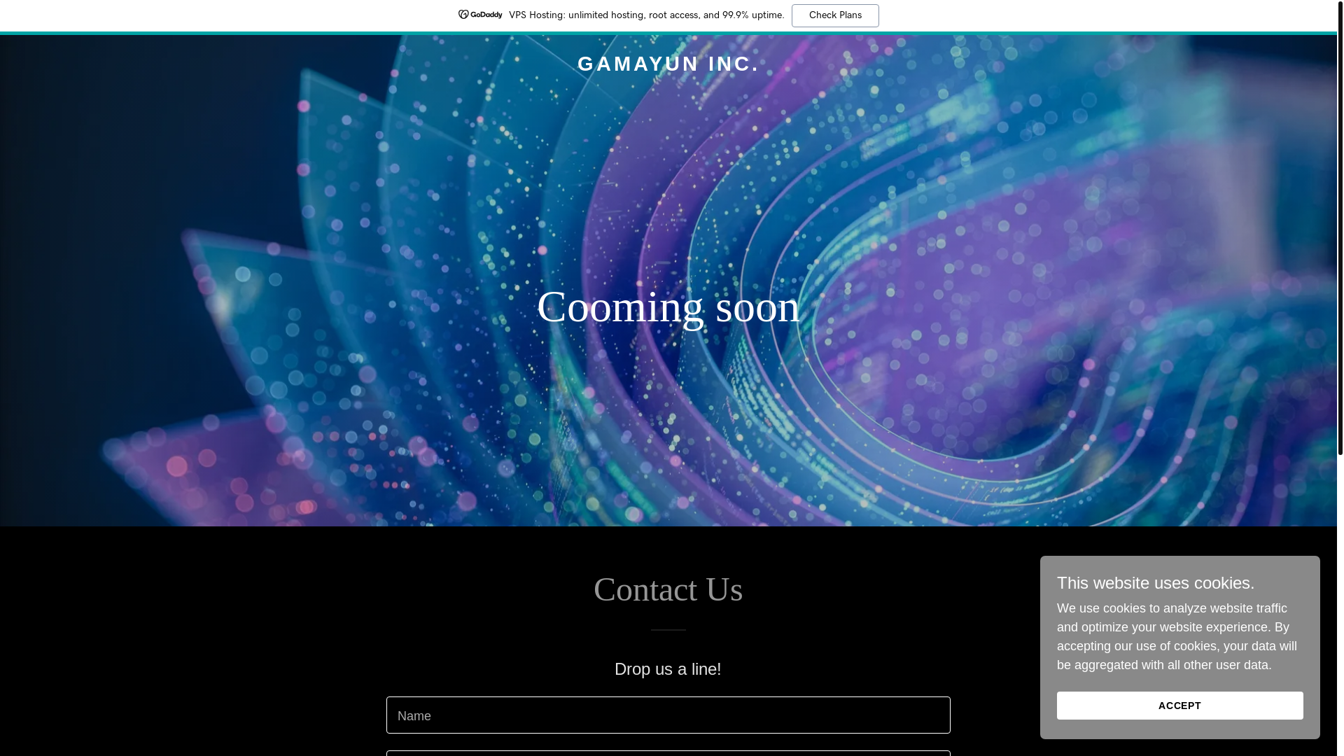 website screenshot of https://gamayun-inc.net/
