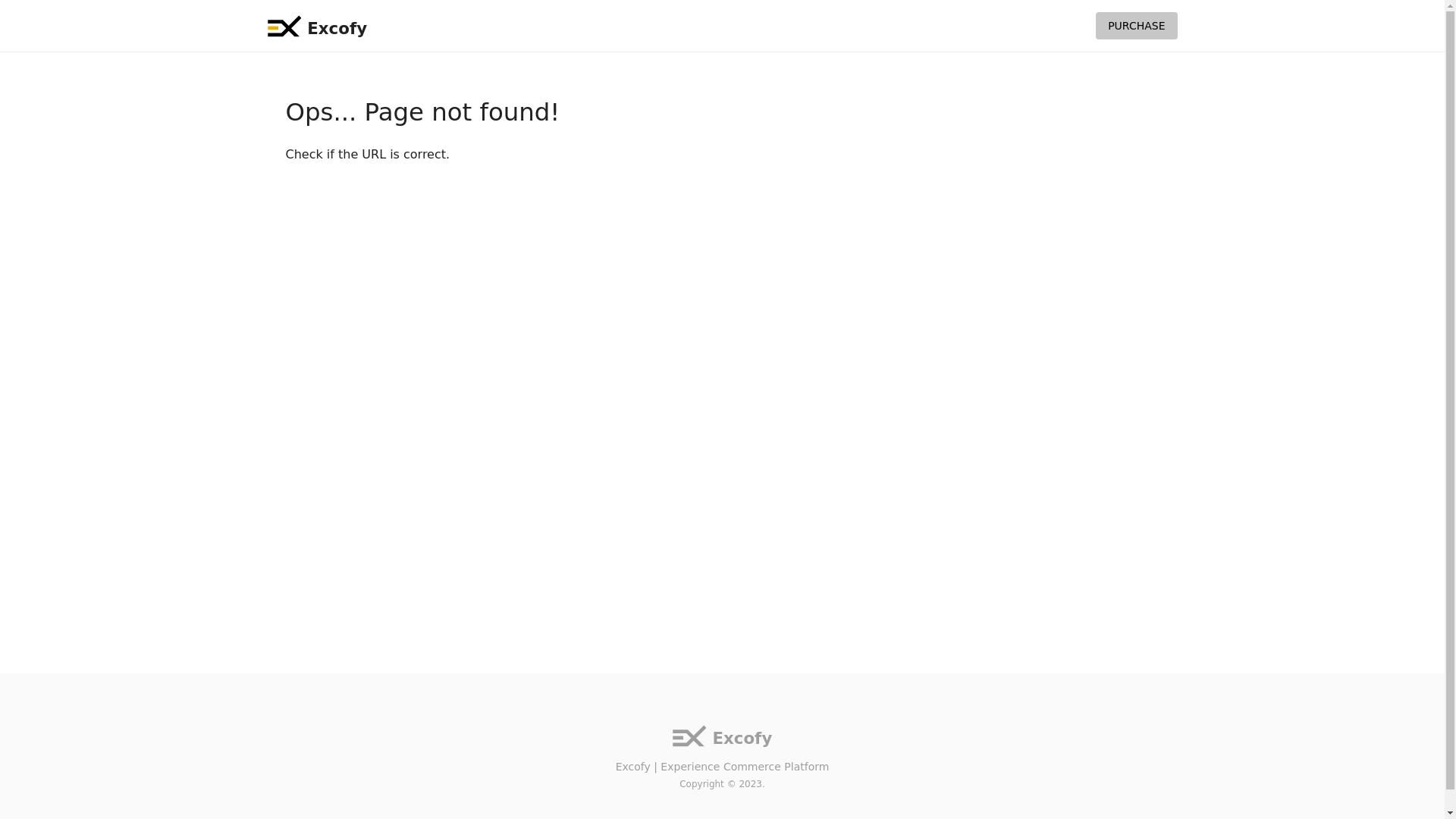 website screenshot of https://company-public-site.pages.dev/