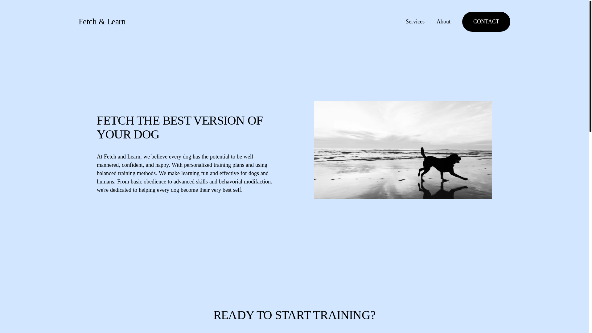 website screenshot of https://fetchandlearntrainingmyrtlebeach.com/