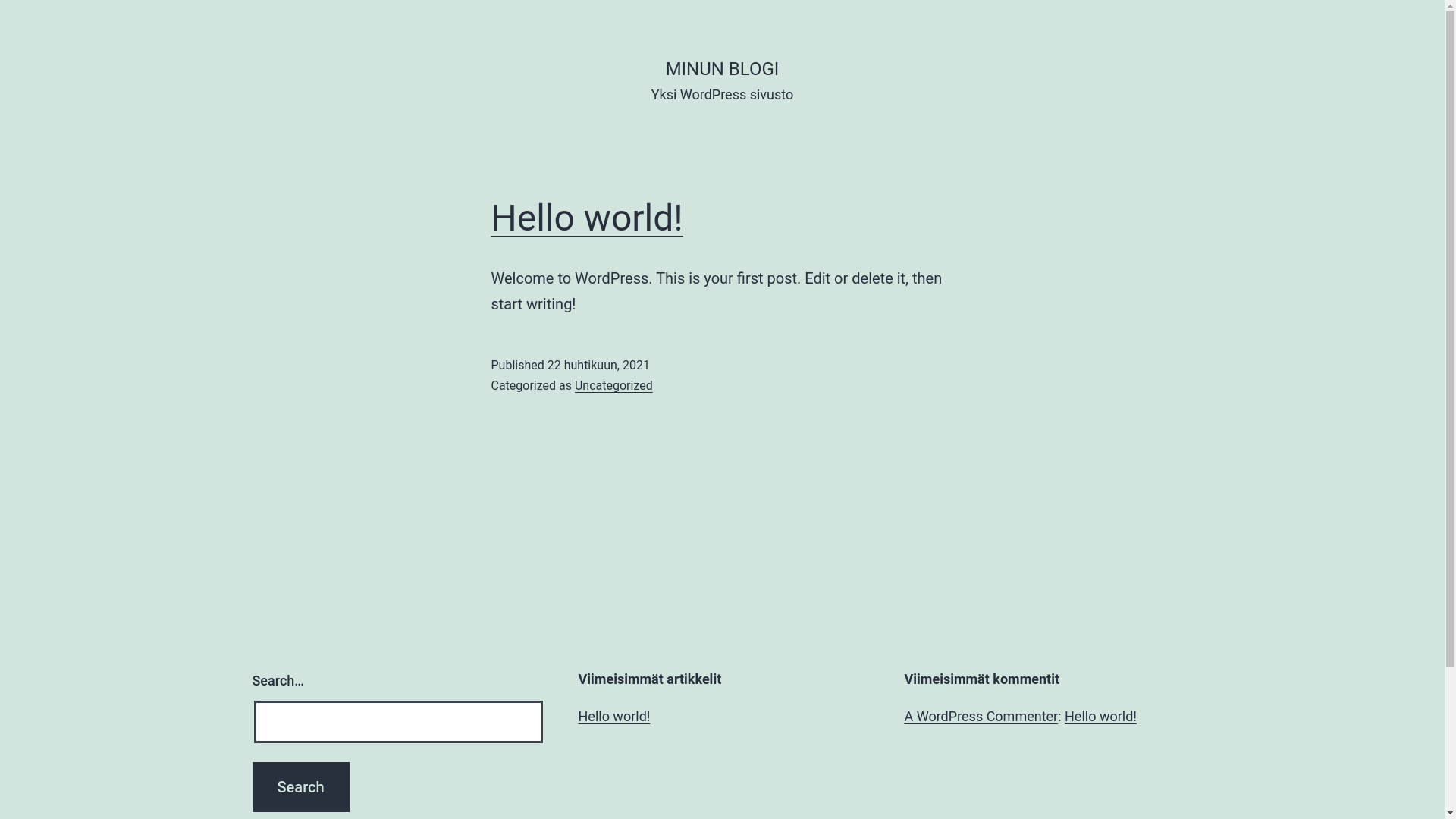 website screenshot of https://louhivaara.net/