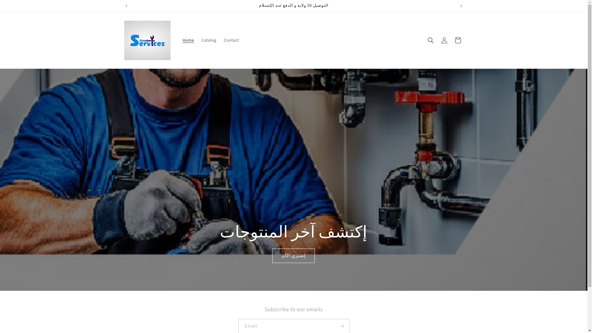 website screenshot of https://servicesplomberie.store/