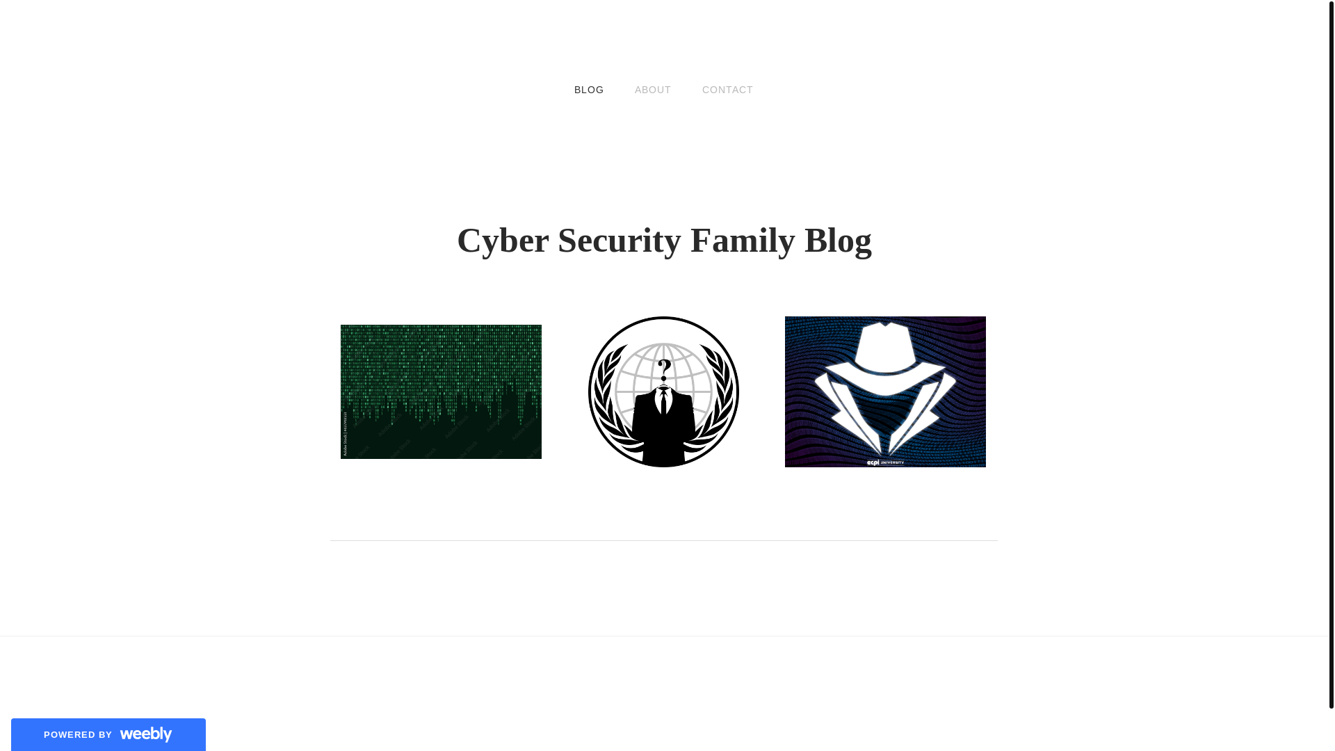 website screenshot of https://chapter14project.com/
