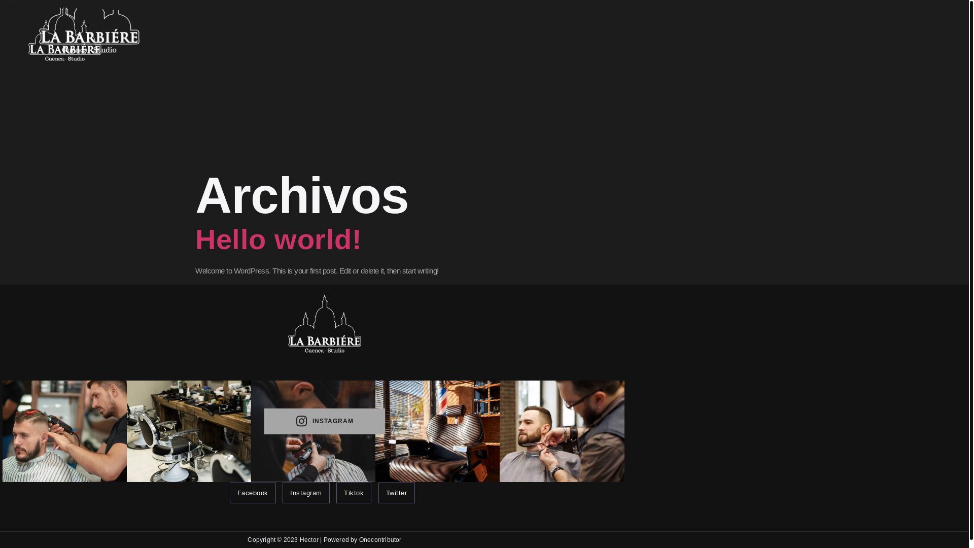 website screenshot of https://labarbiere.ec/