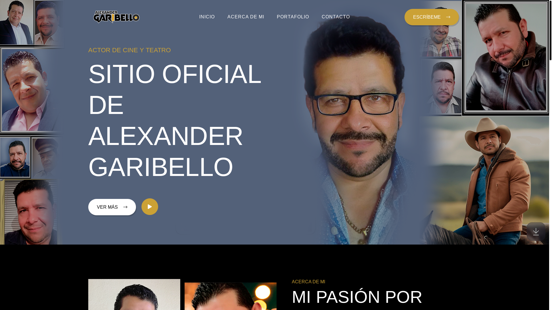 website screenshot of https://alexandergaribello.com/