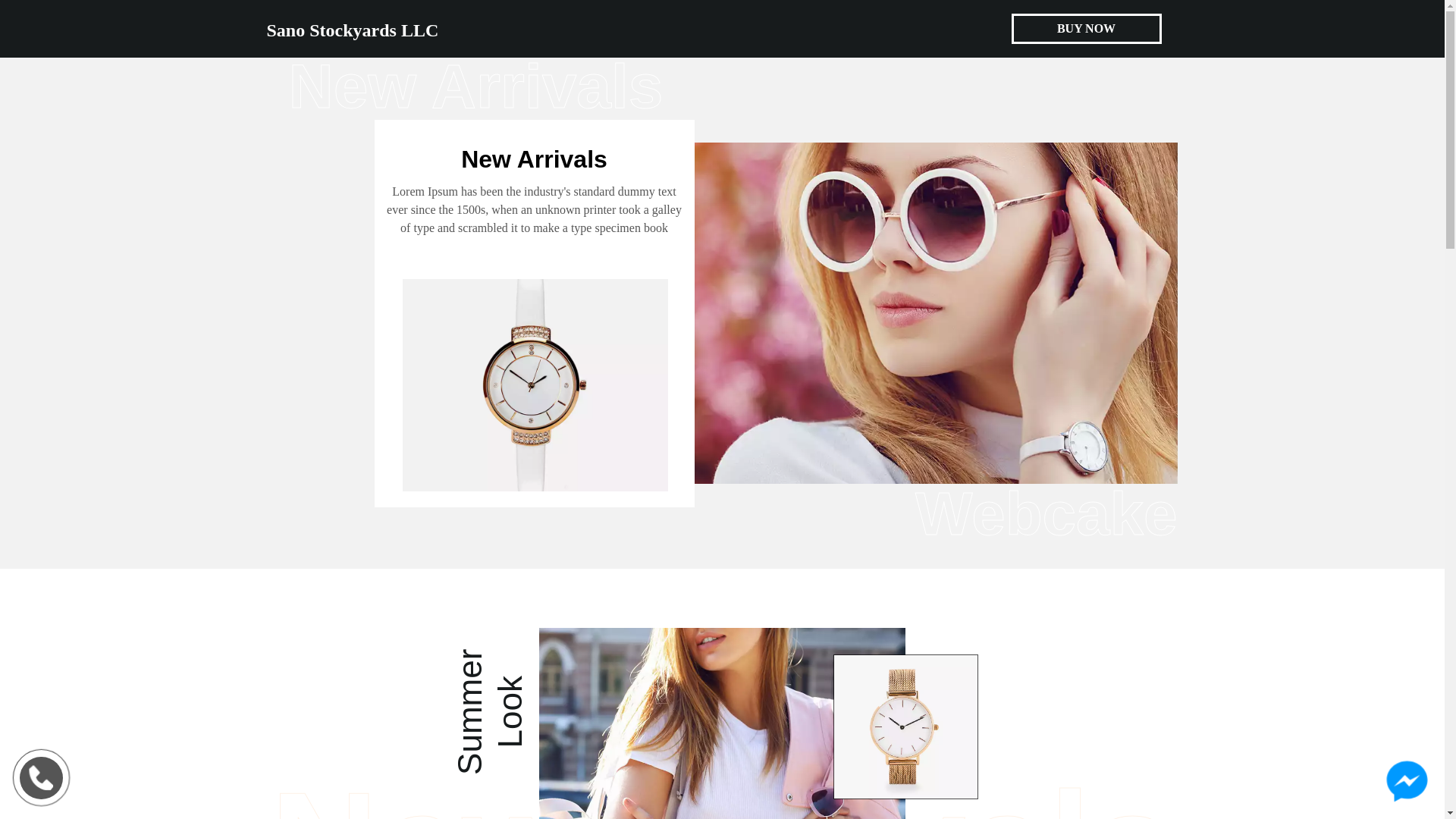 website screenshot of https://sanostockyards.top/
