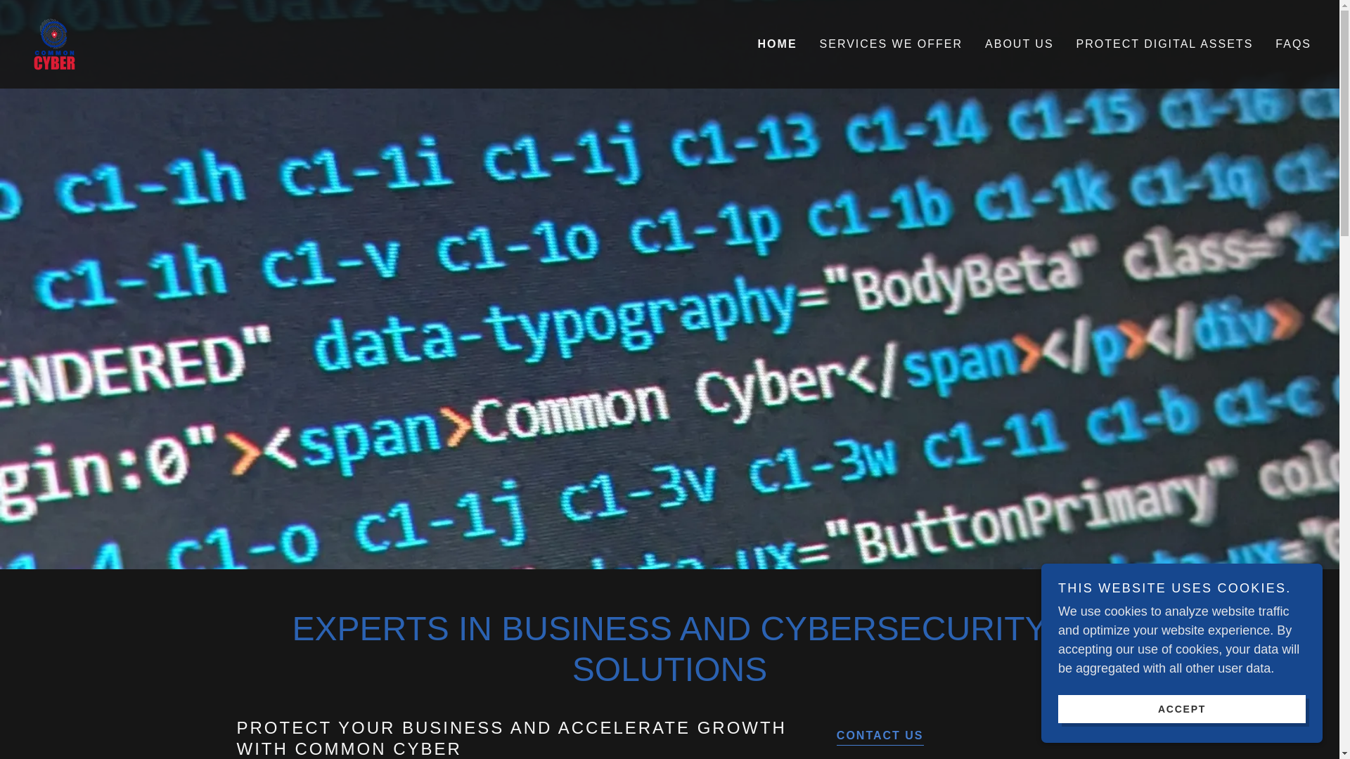 website screenshot of https://common-cybersolutions.com/