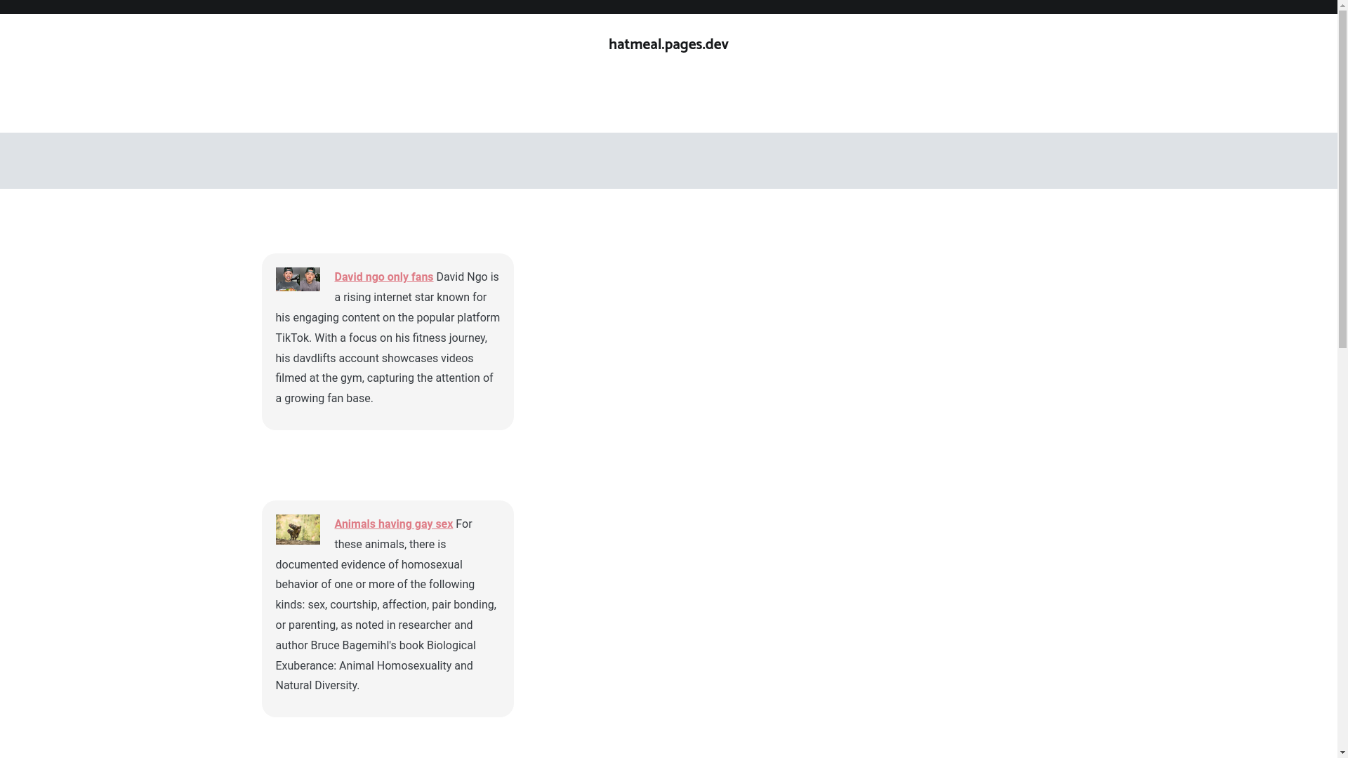 website screenshot of https://hatmeal.pages.dev/