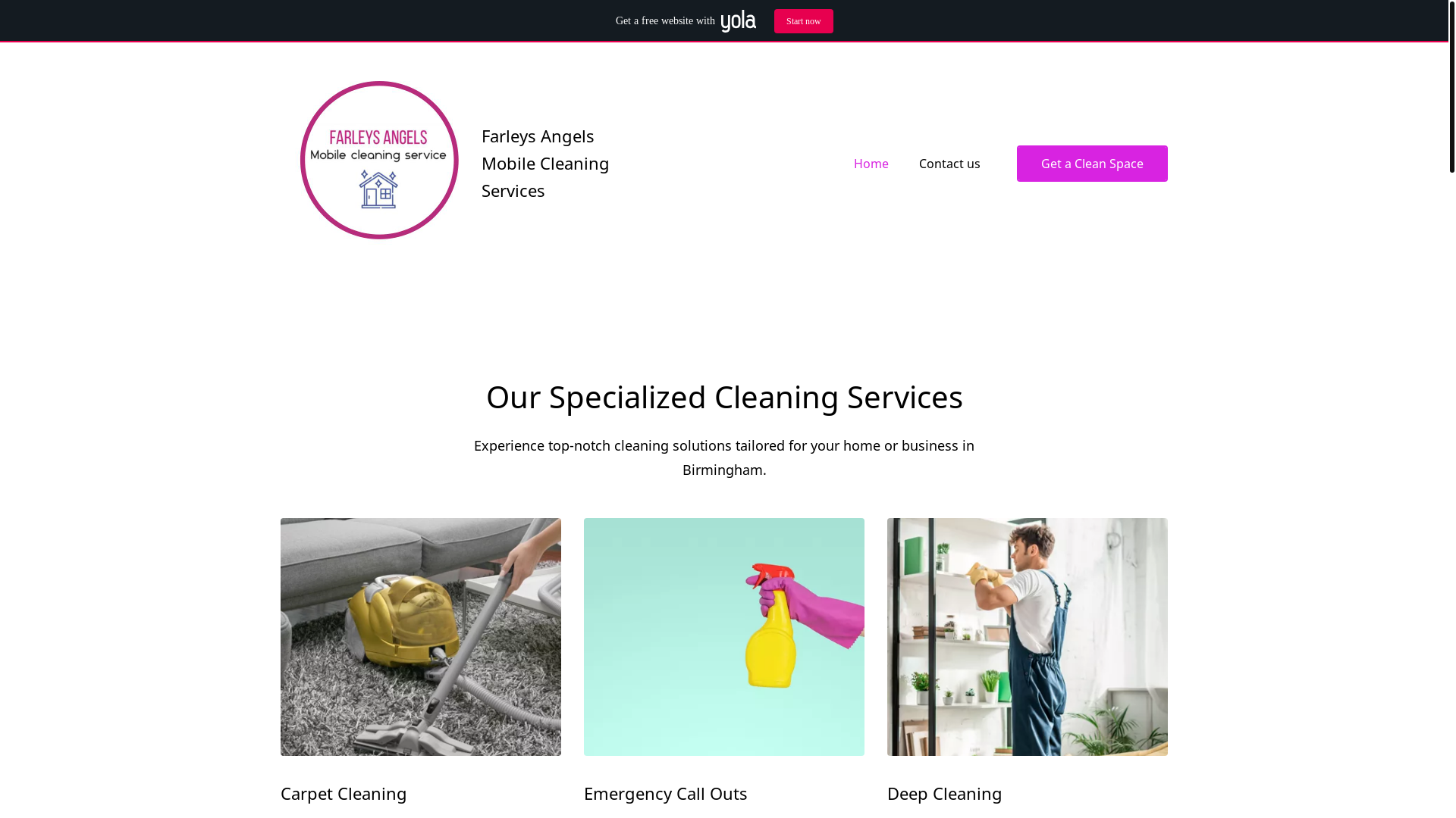 website screenshot of https://farleys-angels.com/