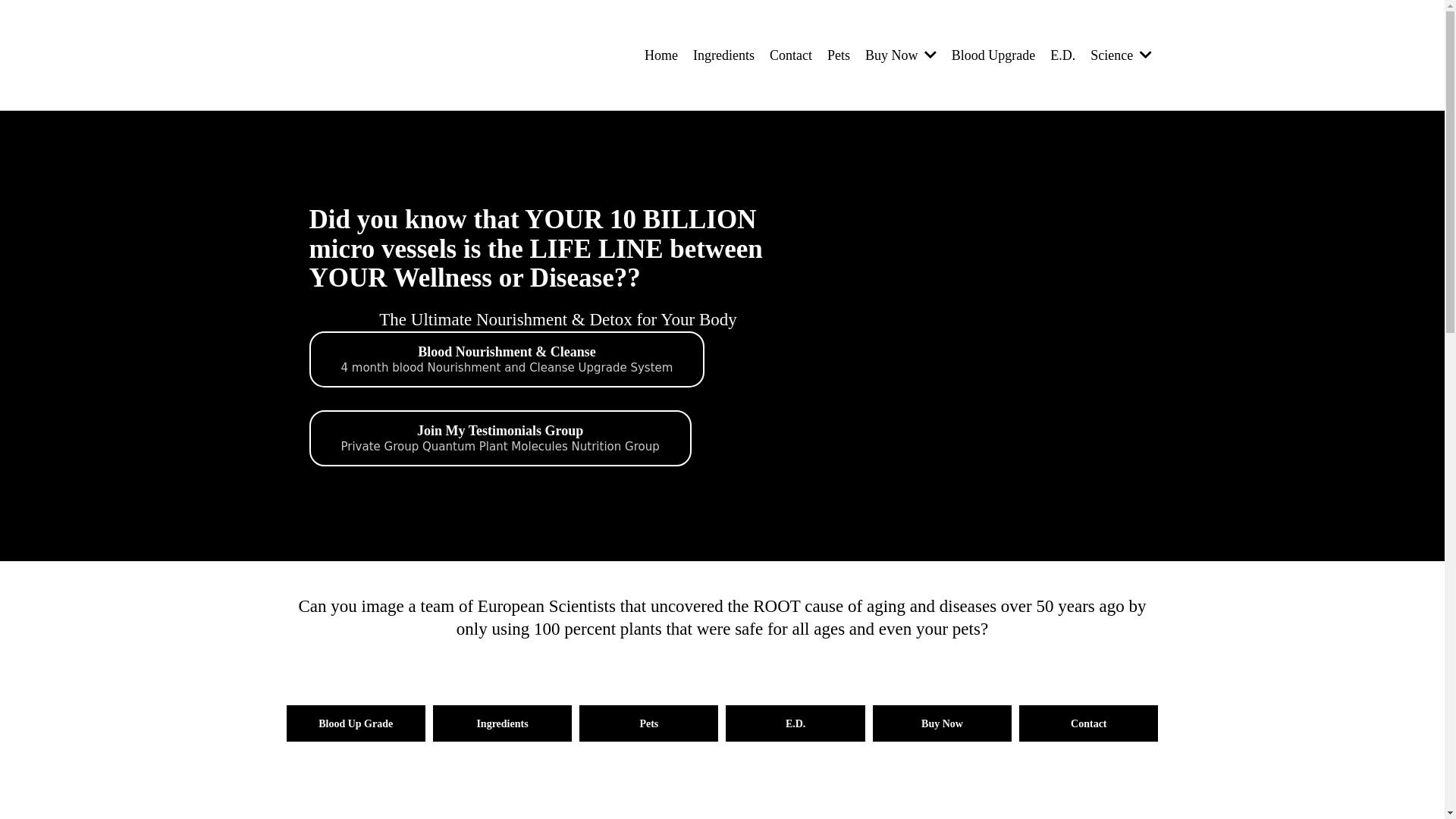 website screenshot of https://healmybodynaturally.com/