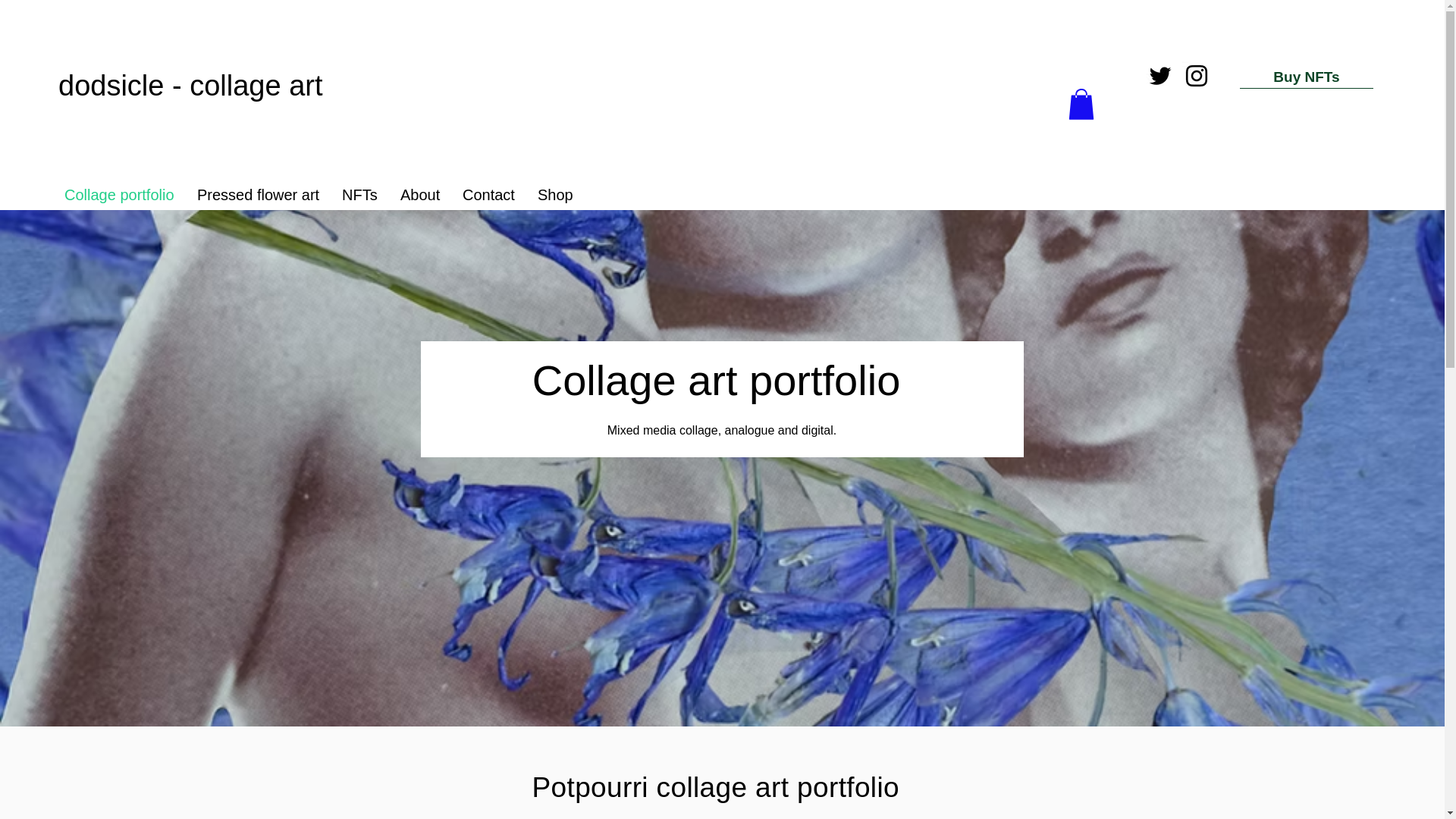 website screenshot of https://dodsicle.shop/