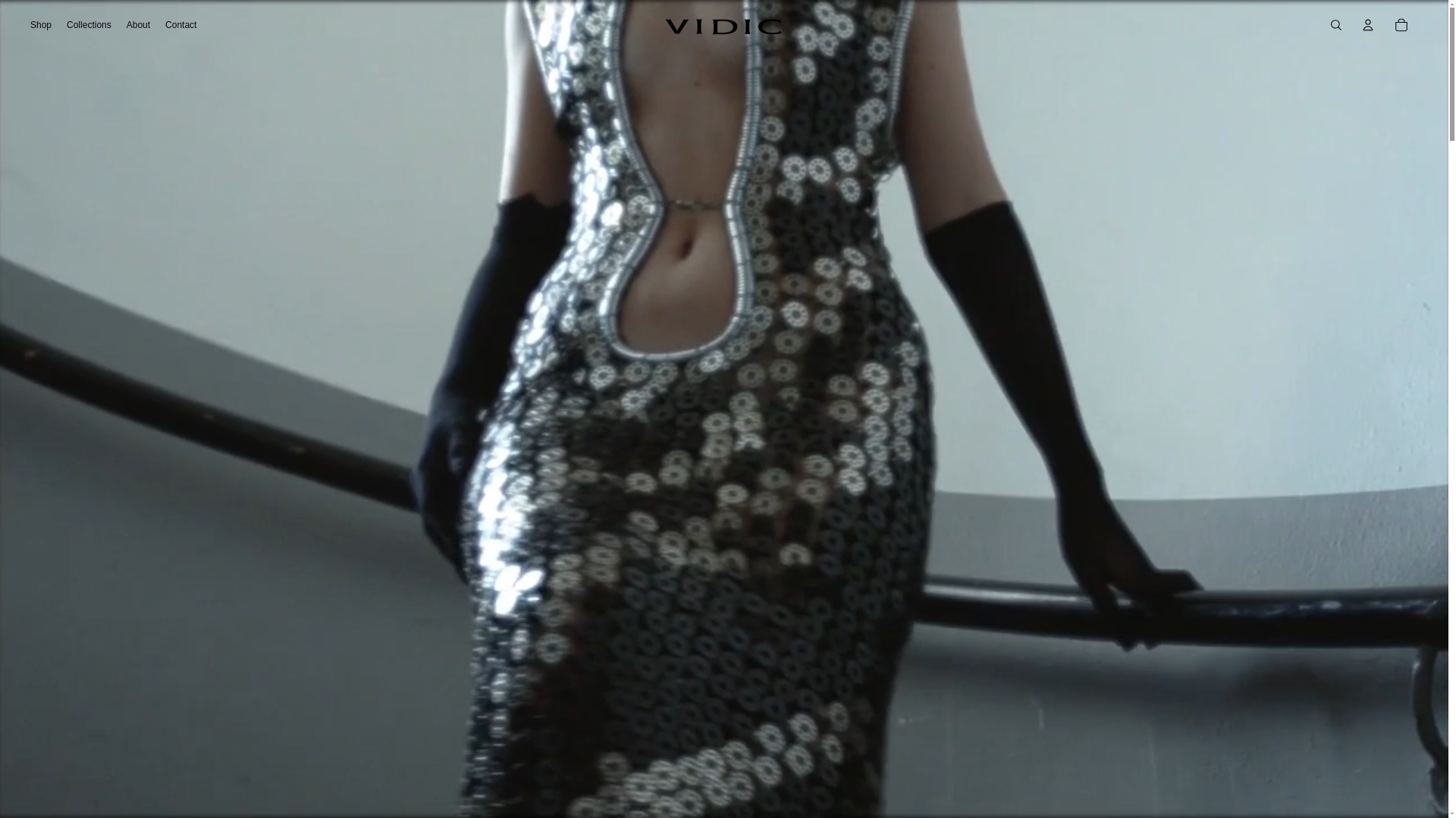 website screenshot of https://tanjavidic.com/