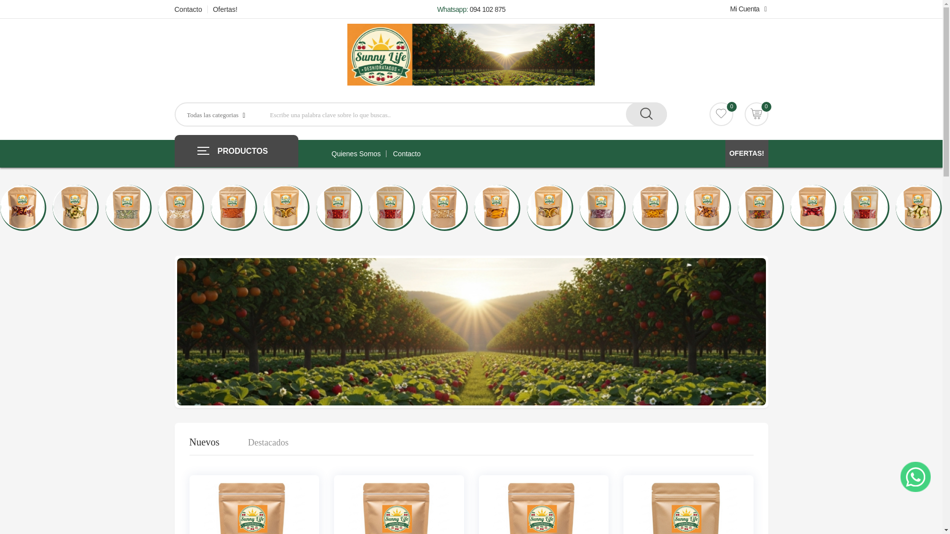 website screenshot of https://sunnydeshidratados.uy/
