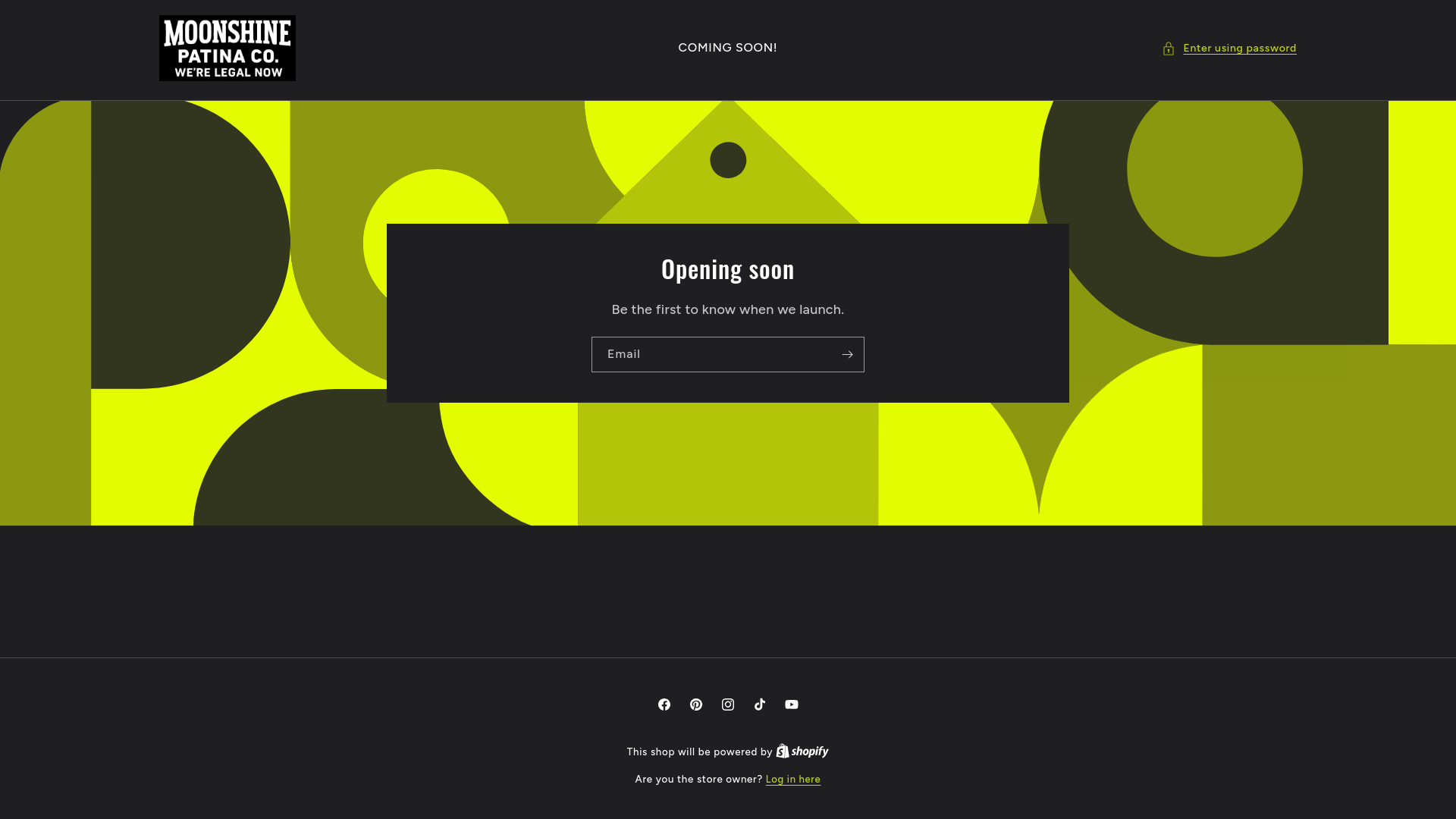website screenshot of https://moonshinepatinaco.com/
