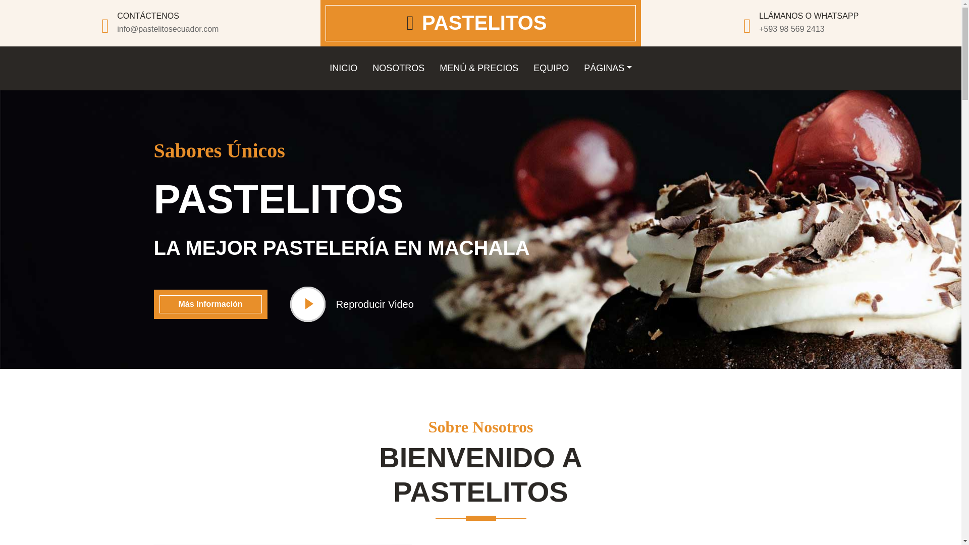 website screenshot of https://pasteleria-pastelitos.pages.dev/