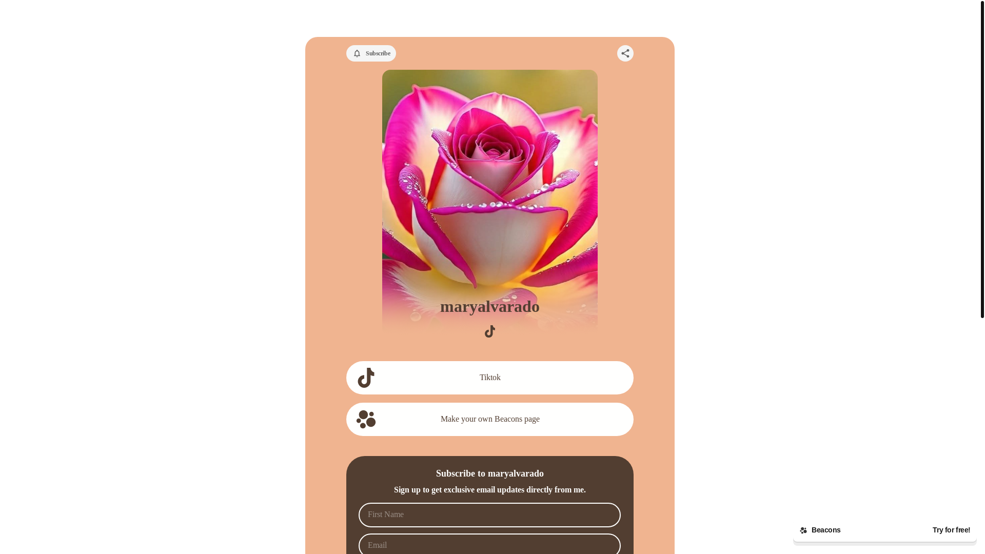 website screenshot of https://maryalvarado.store/