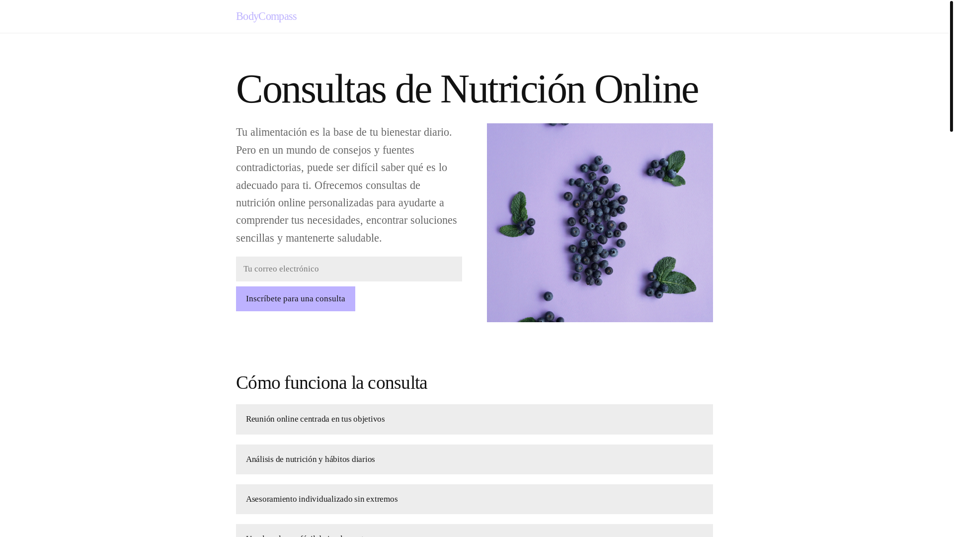 website screenshot of https://bodycompasstime.info/